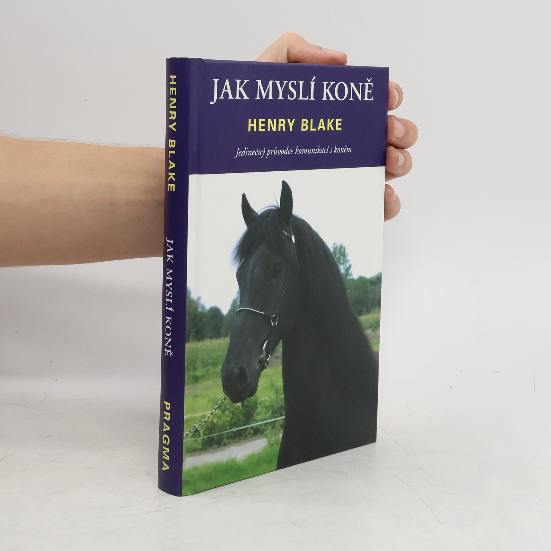 H. N. Blake Jak myslí koně