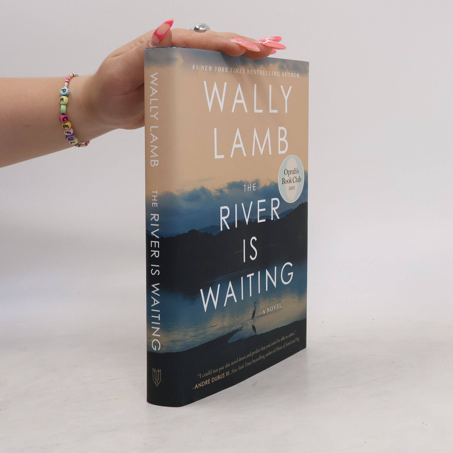 Wally Lamb The River Is Waiting