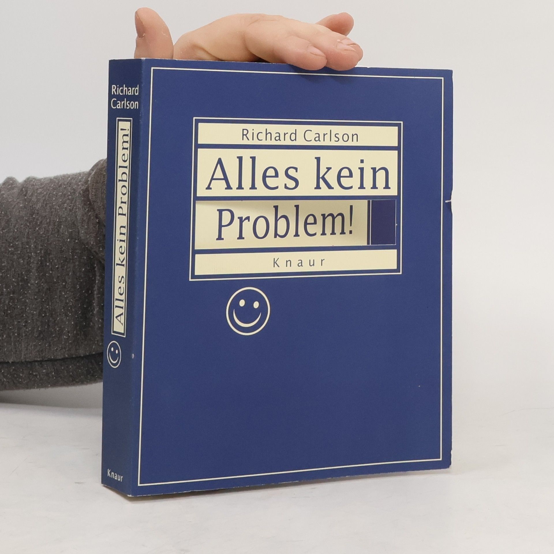 Richard Carlson Alles kein Problem!
