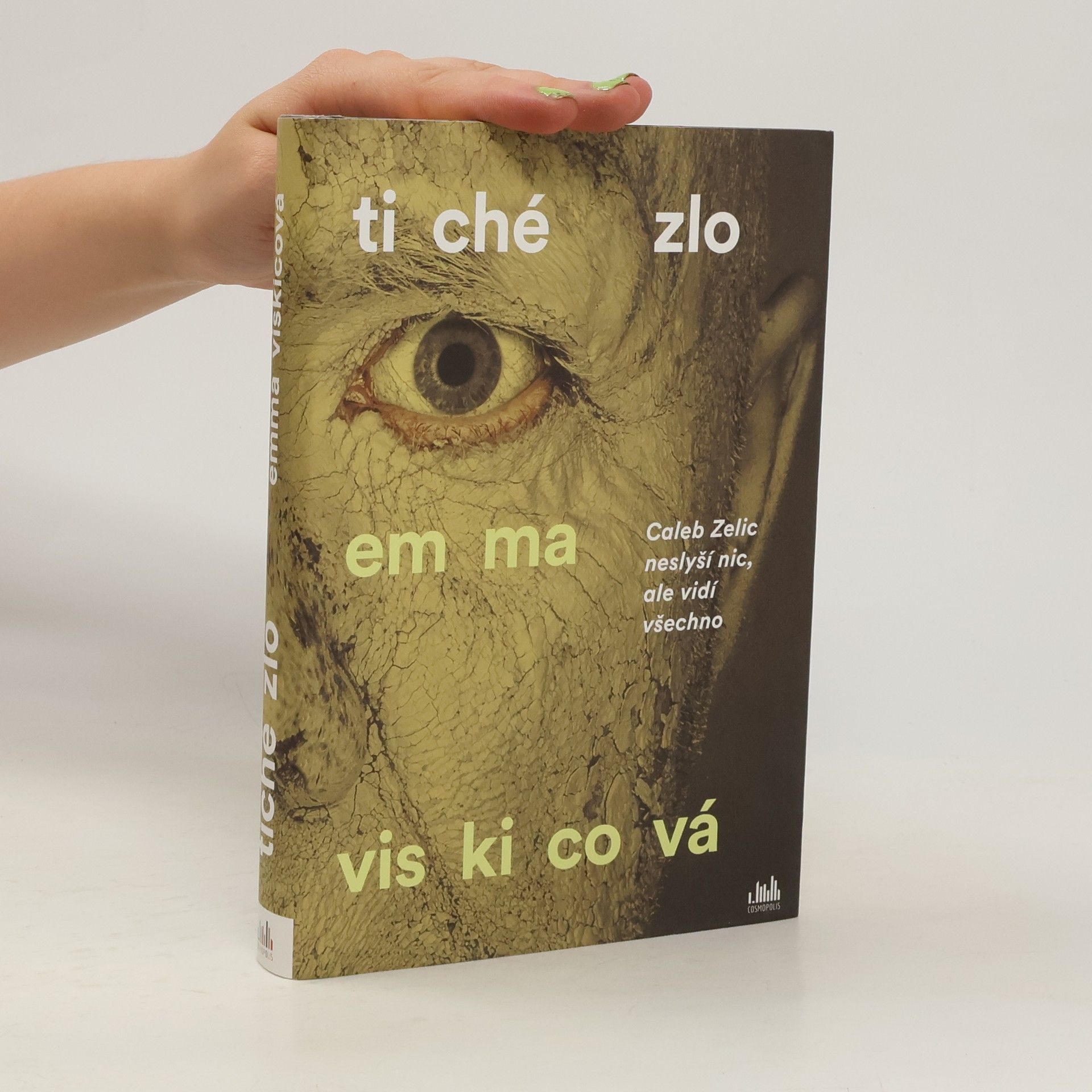 Emma Viskic Tiché zlo