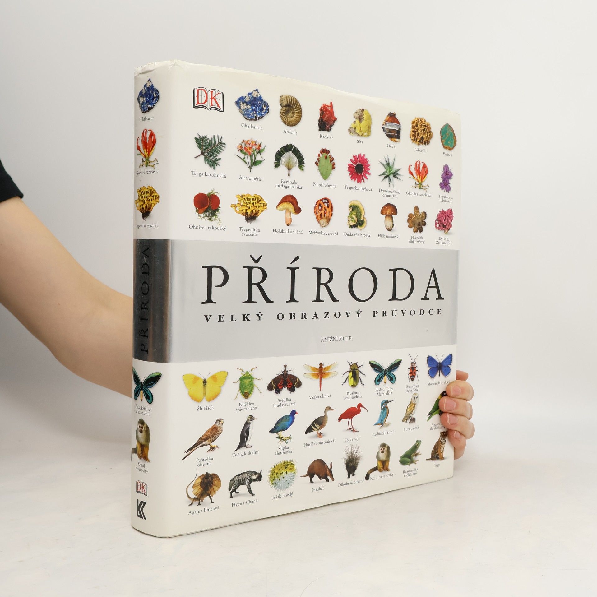 Richard Beatty Příroda – Velký obrazový průvodce