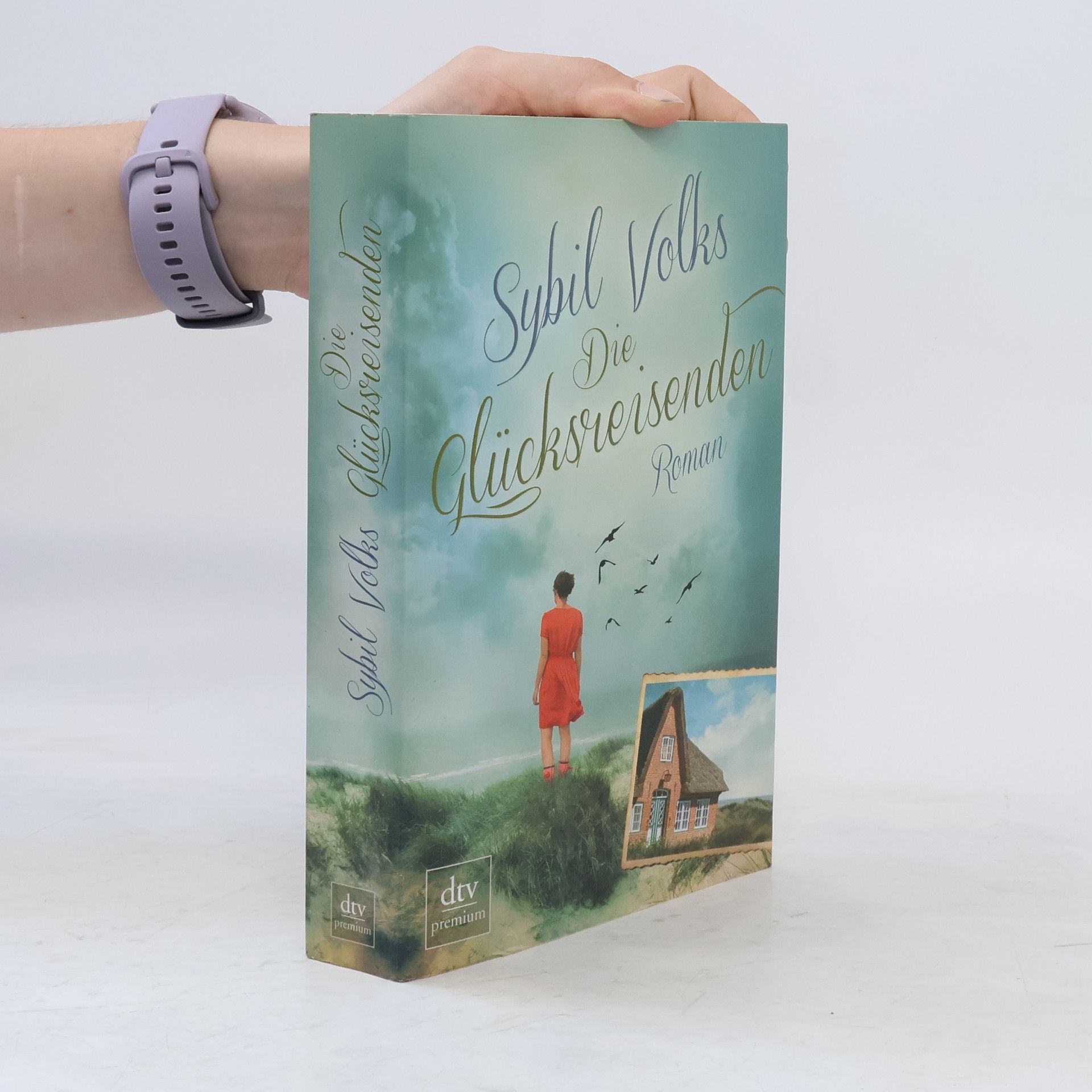 Sybil Volks Die Glücksreisenden