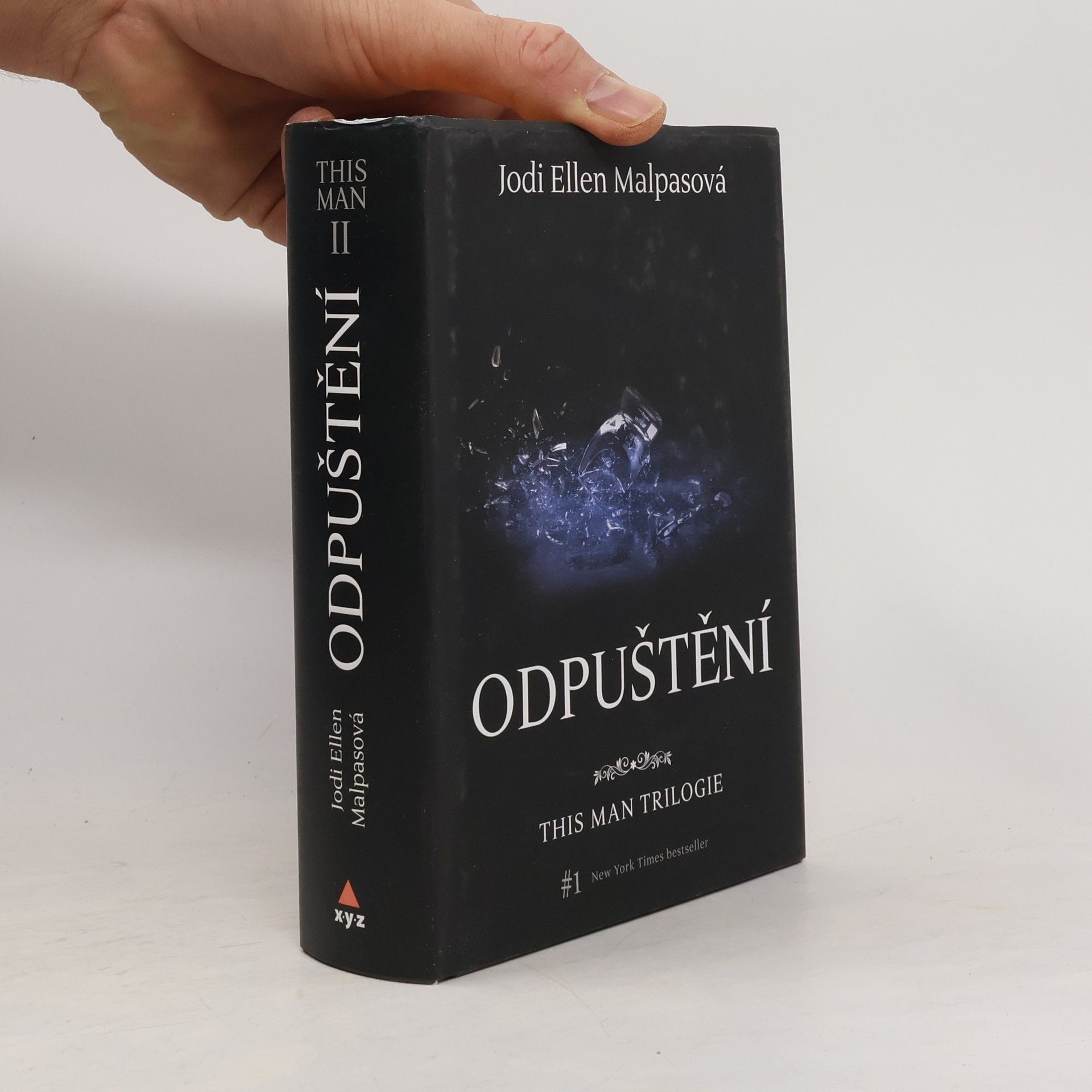 Jodi Ellen Malpas This man trilogie : Odpuštění