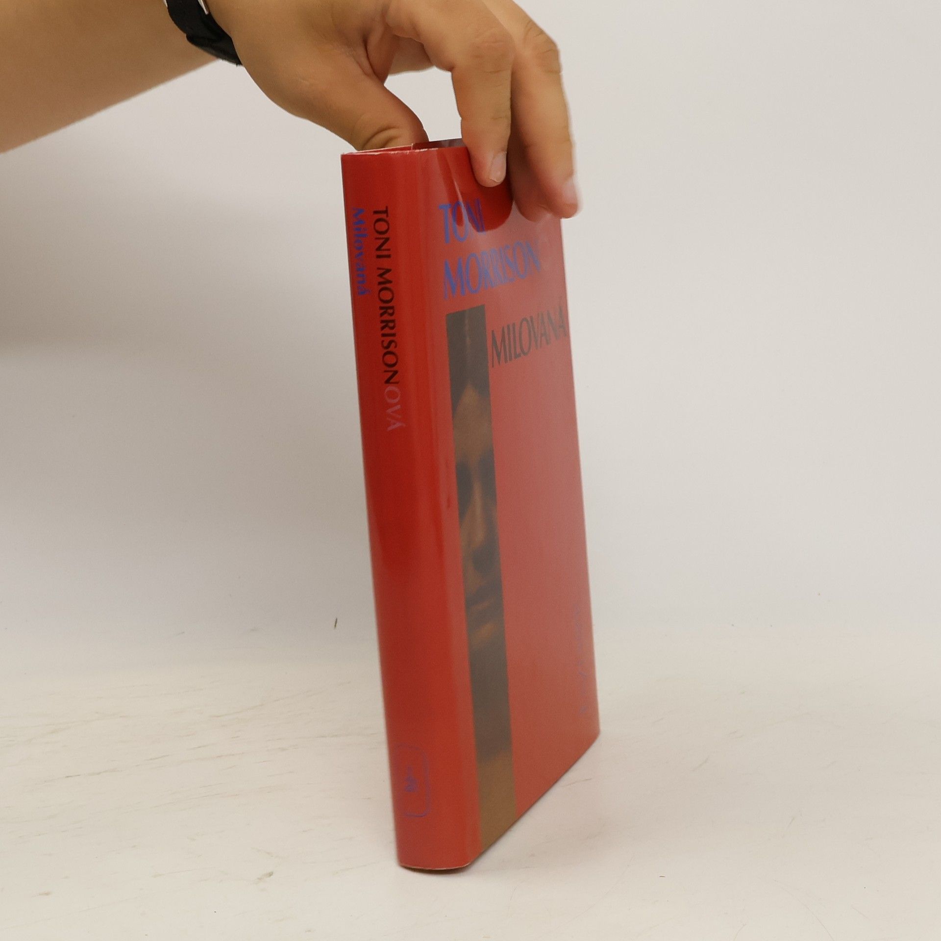 Toni Morrison Milovaná