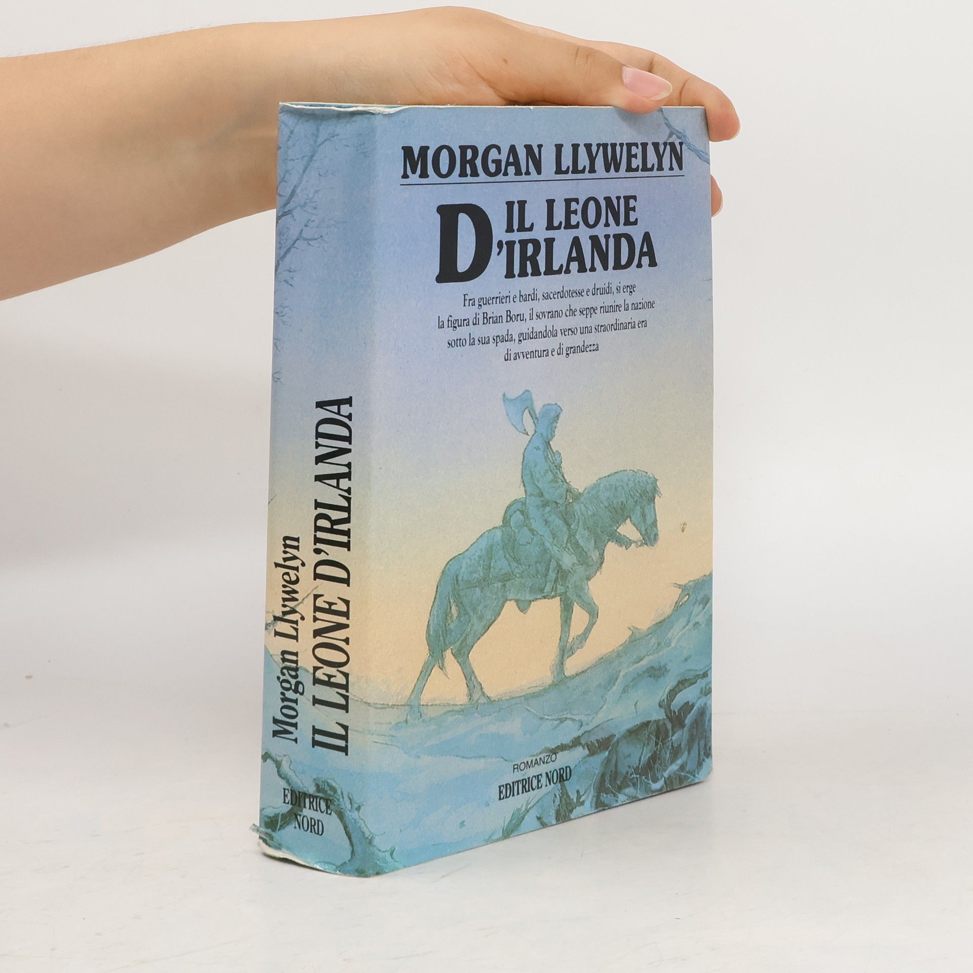 Morgan Llywelyn Il leone d'Irlanda
