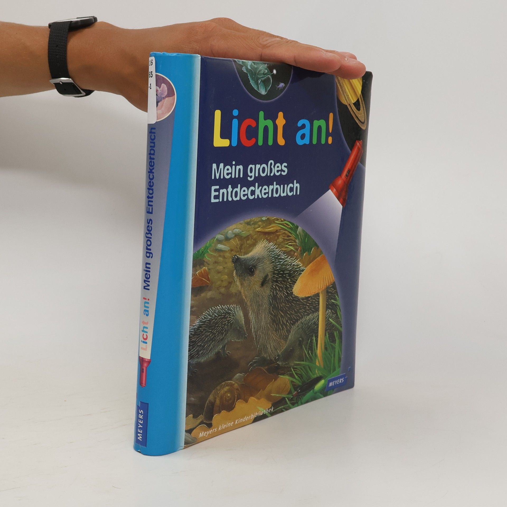 Collectif d'auteurs Licht an!