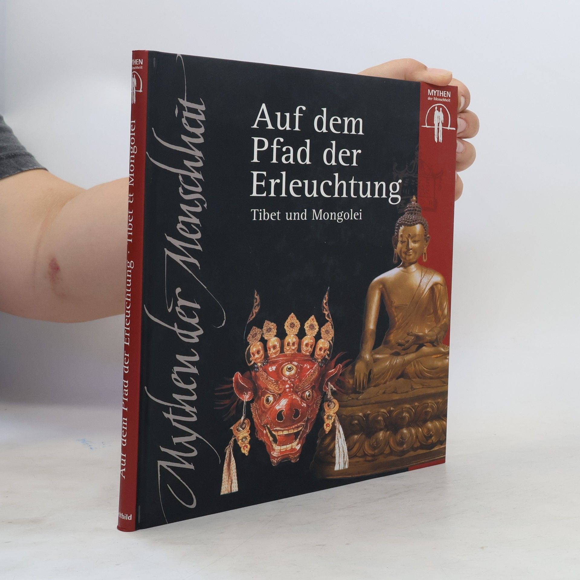 Autores varios Auf dem Pfad der Erleuchtung