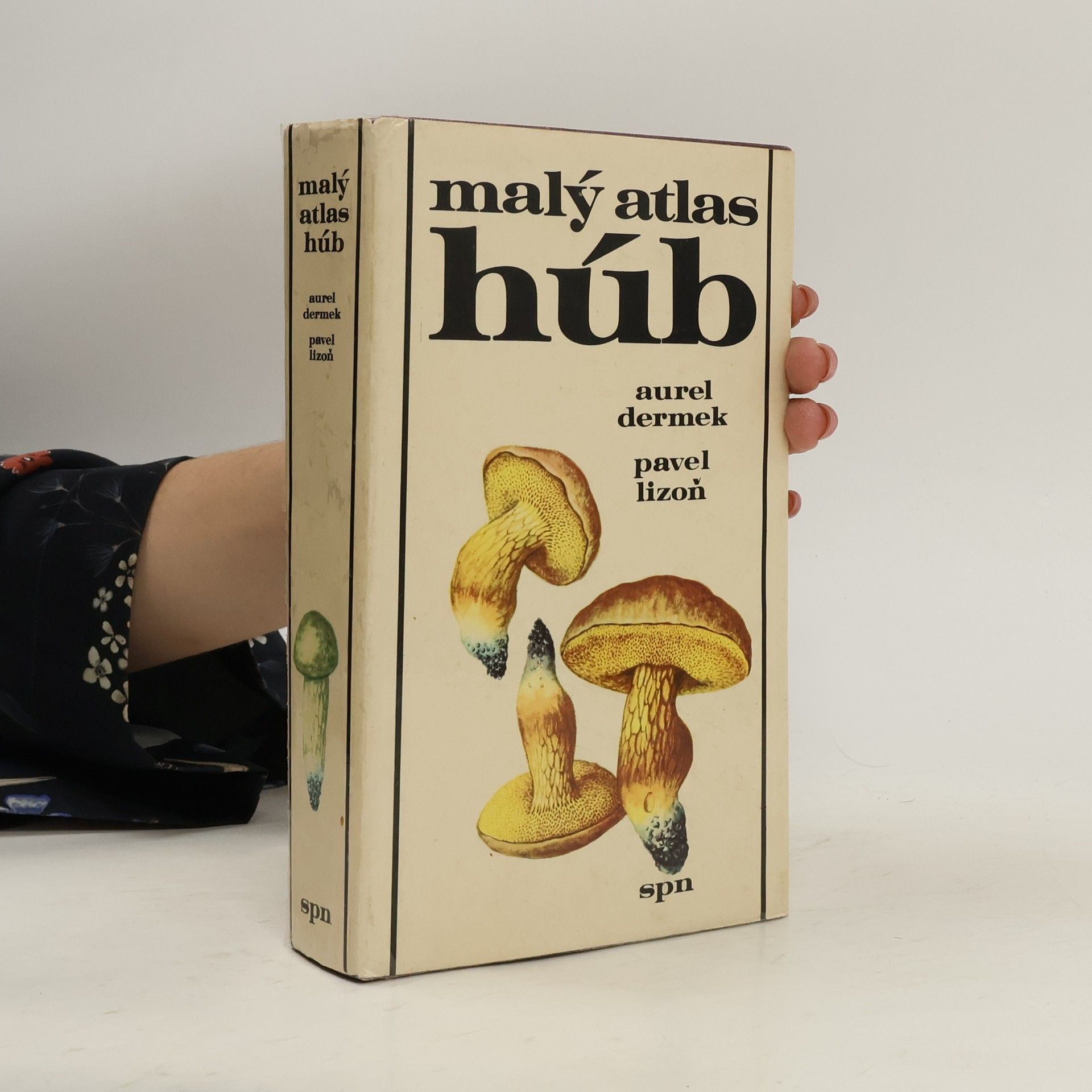 Aurel Dermek Malý atlas húb