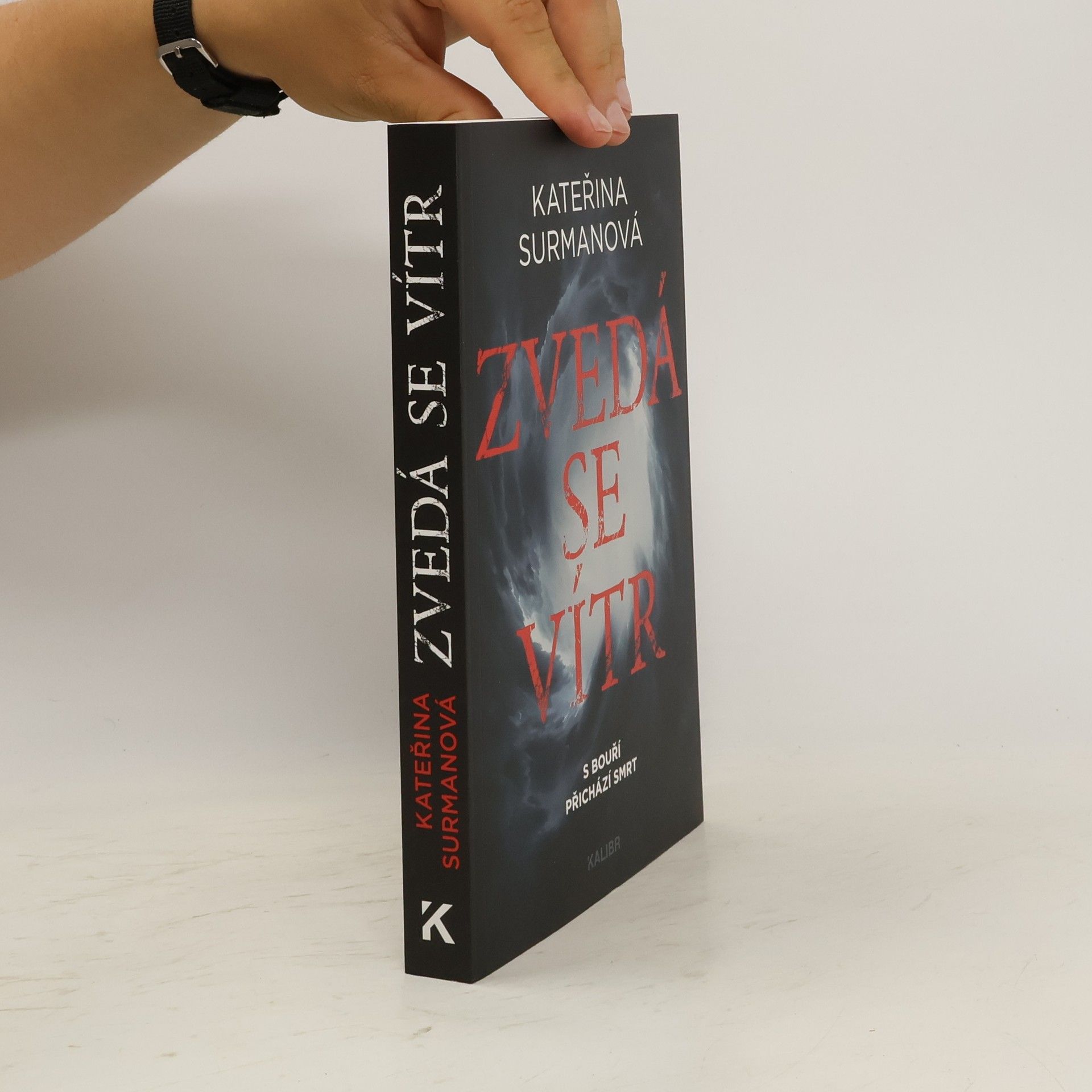 Kateřina Surmanová Zvedá se vítr