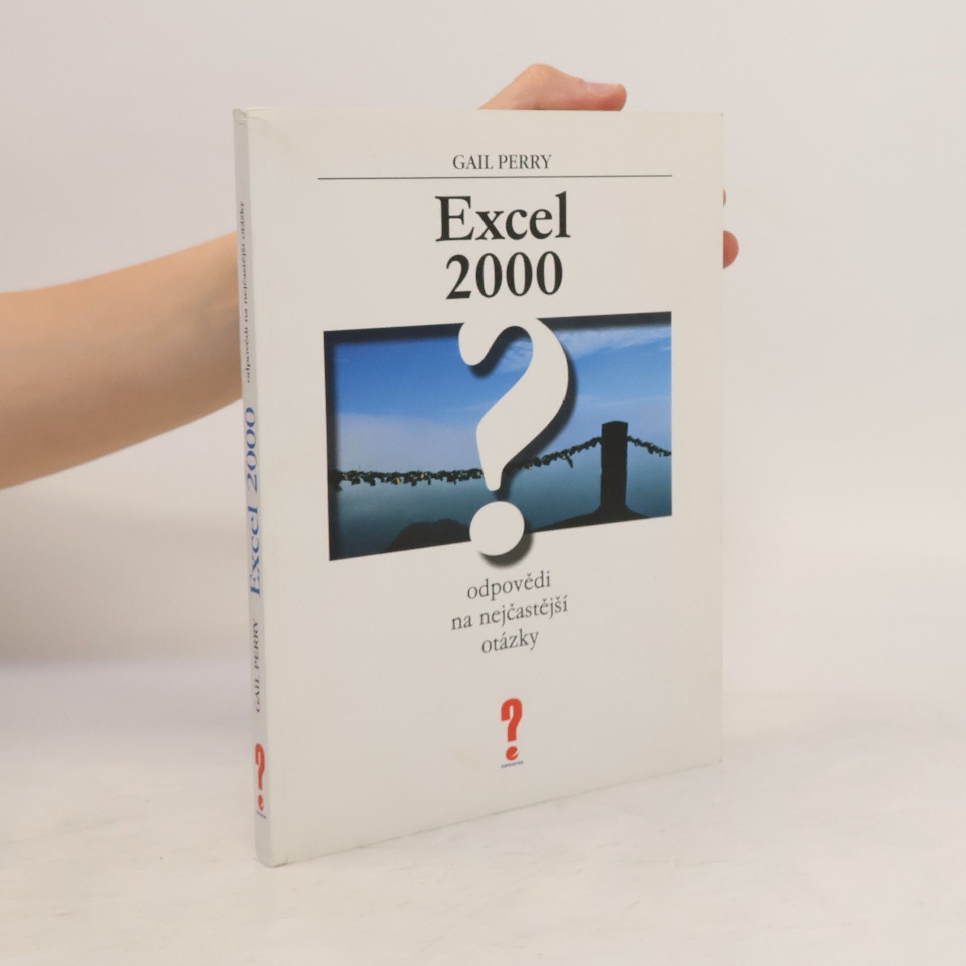 Gail Perry Excel 2000 : odpovědi na nejčastější otázky