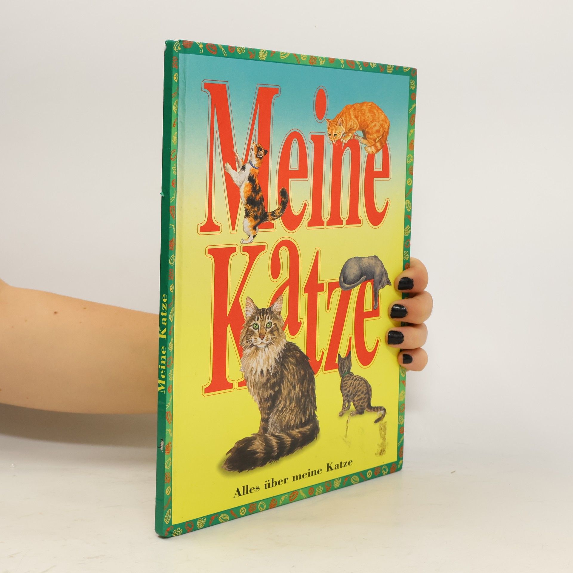 Collectif d'auteurs Meine Katze: Alles über meine Katze