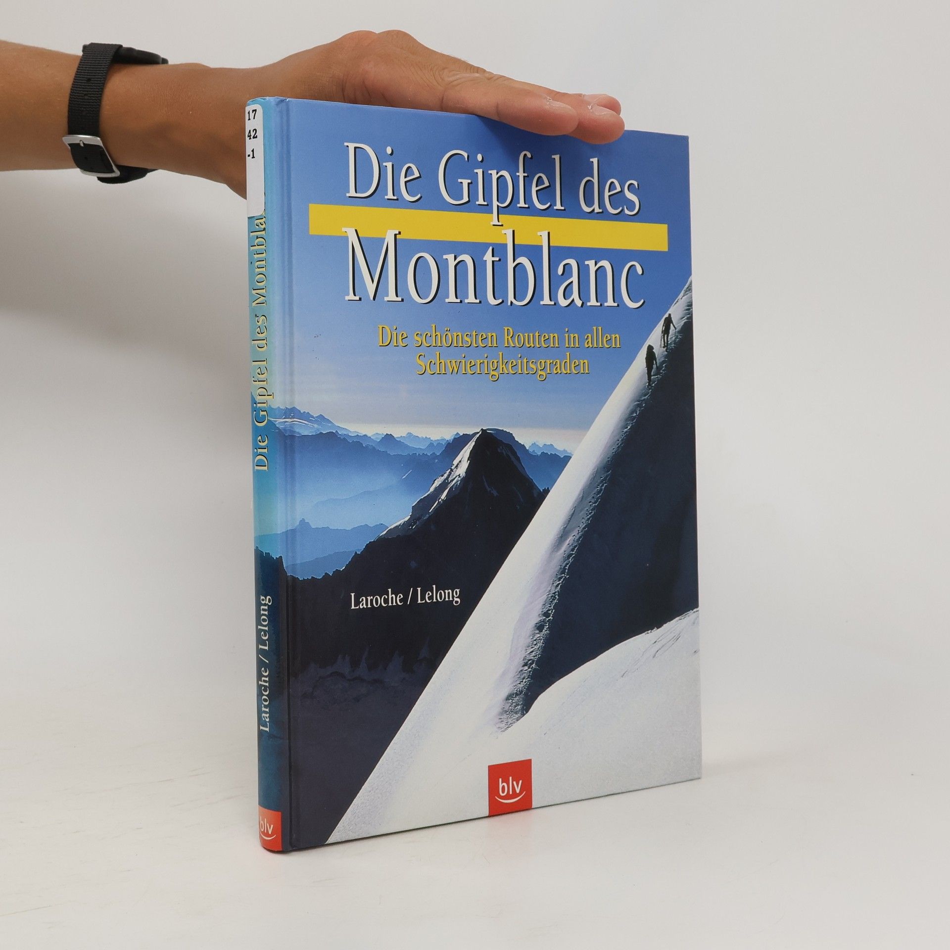 Florence Lelong Die Gipfel des Montblanc