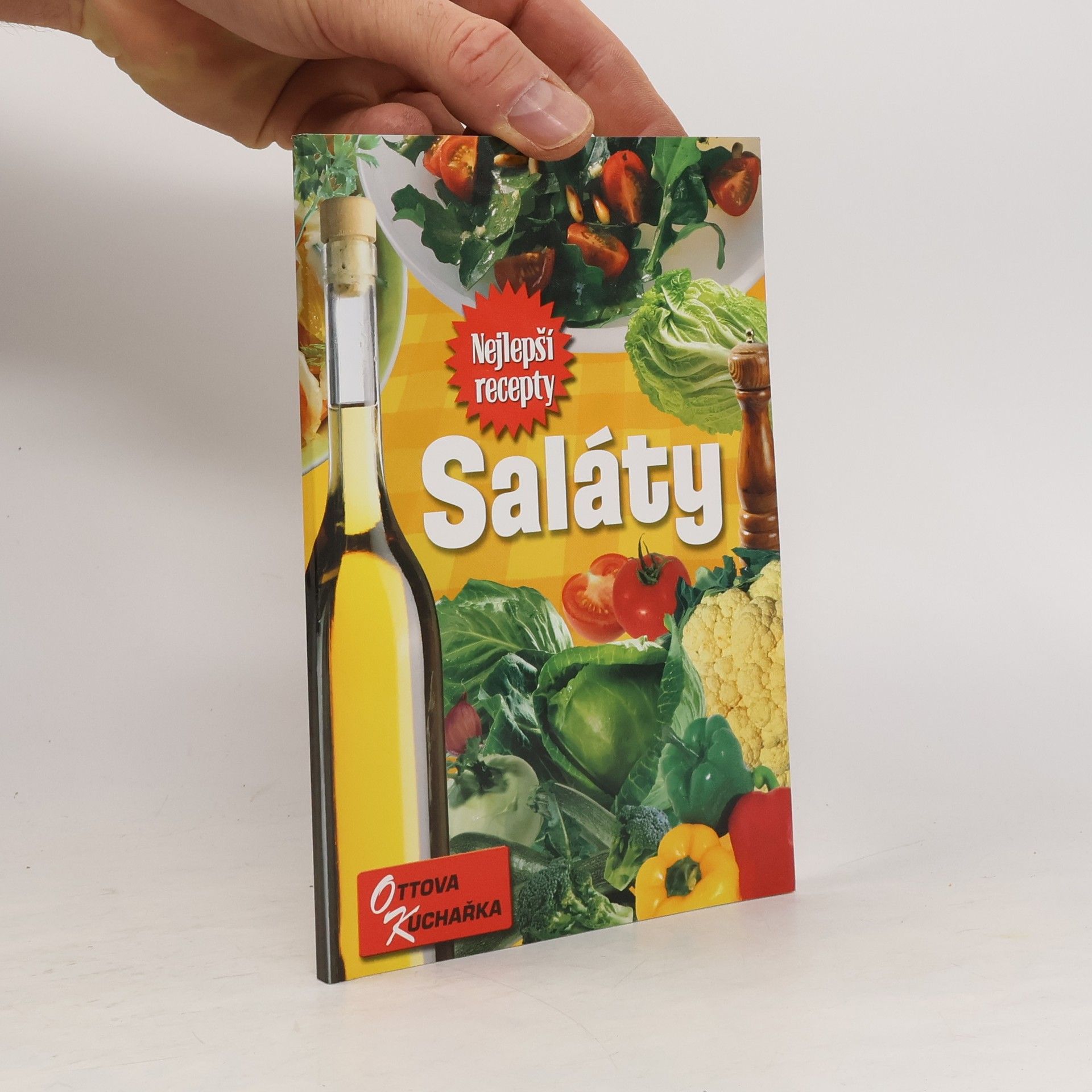 kolektiv Saláty. Nejlepší recepty