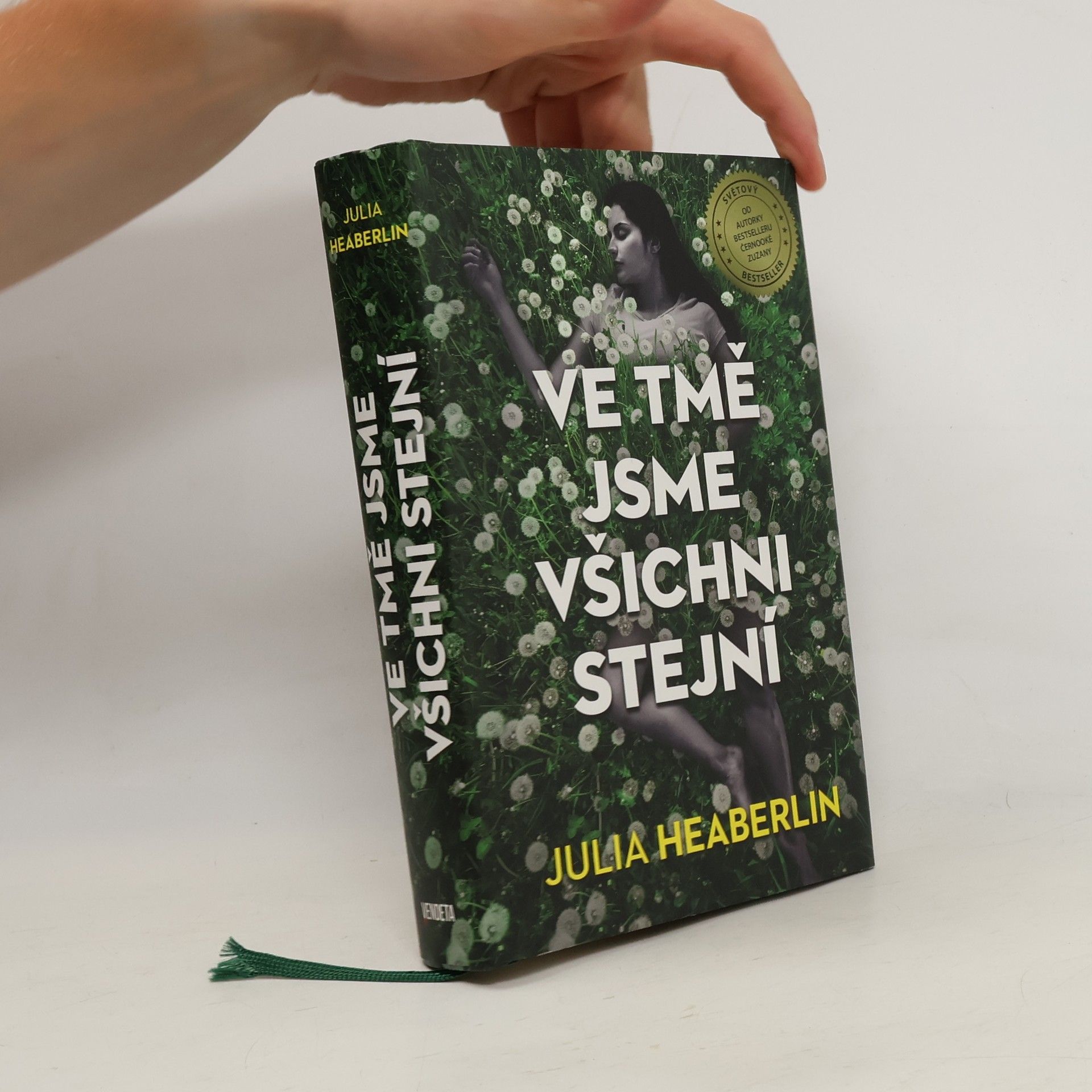 Julia Heaberlin Ve tmě jsme všichni stejní
