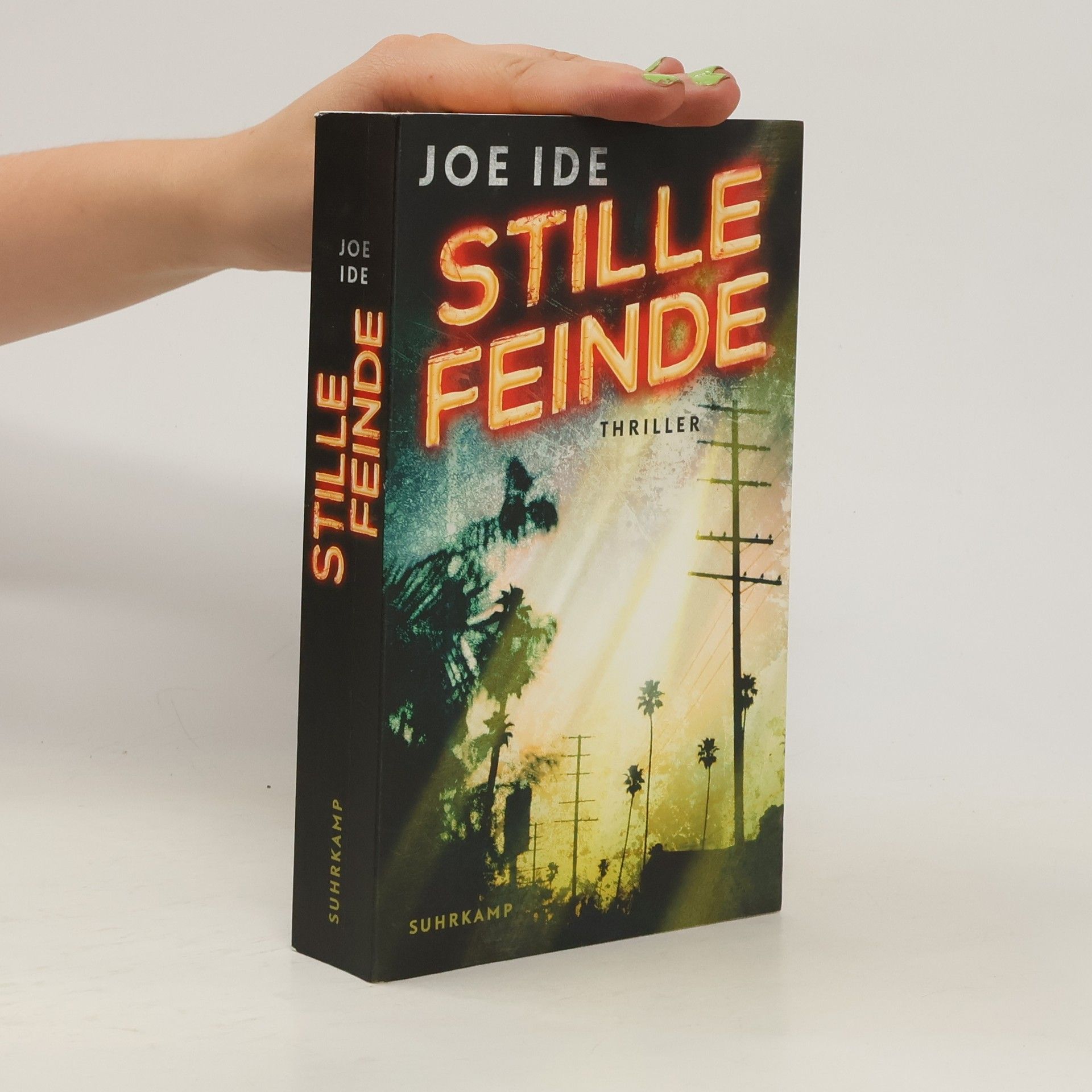 Joe Ide Stille Feinde