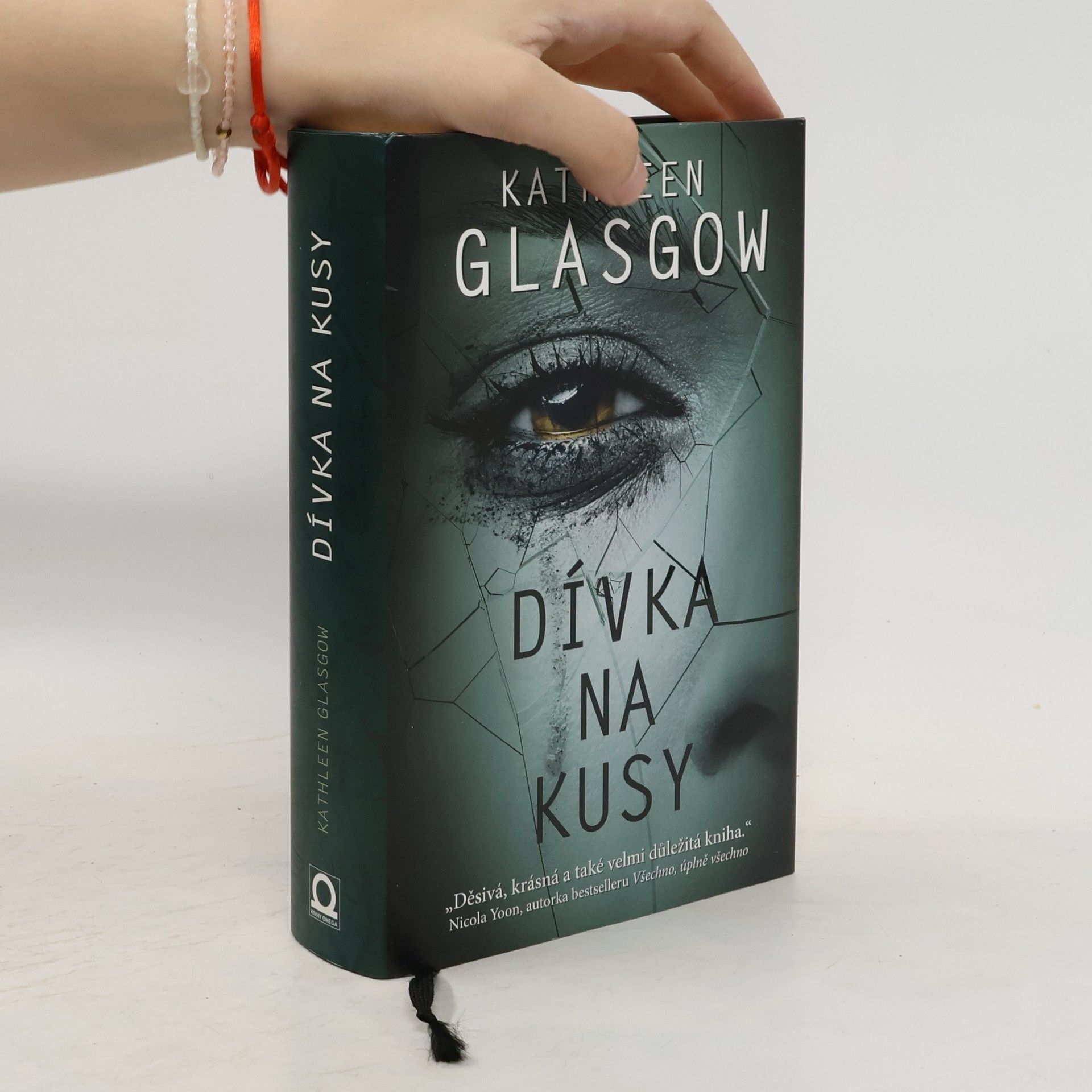 Kathleen Glasgow Dívka na kusy