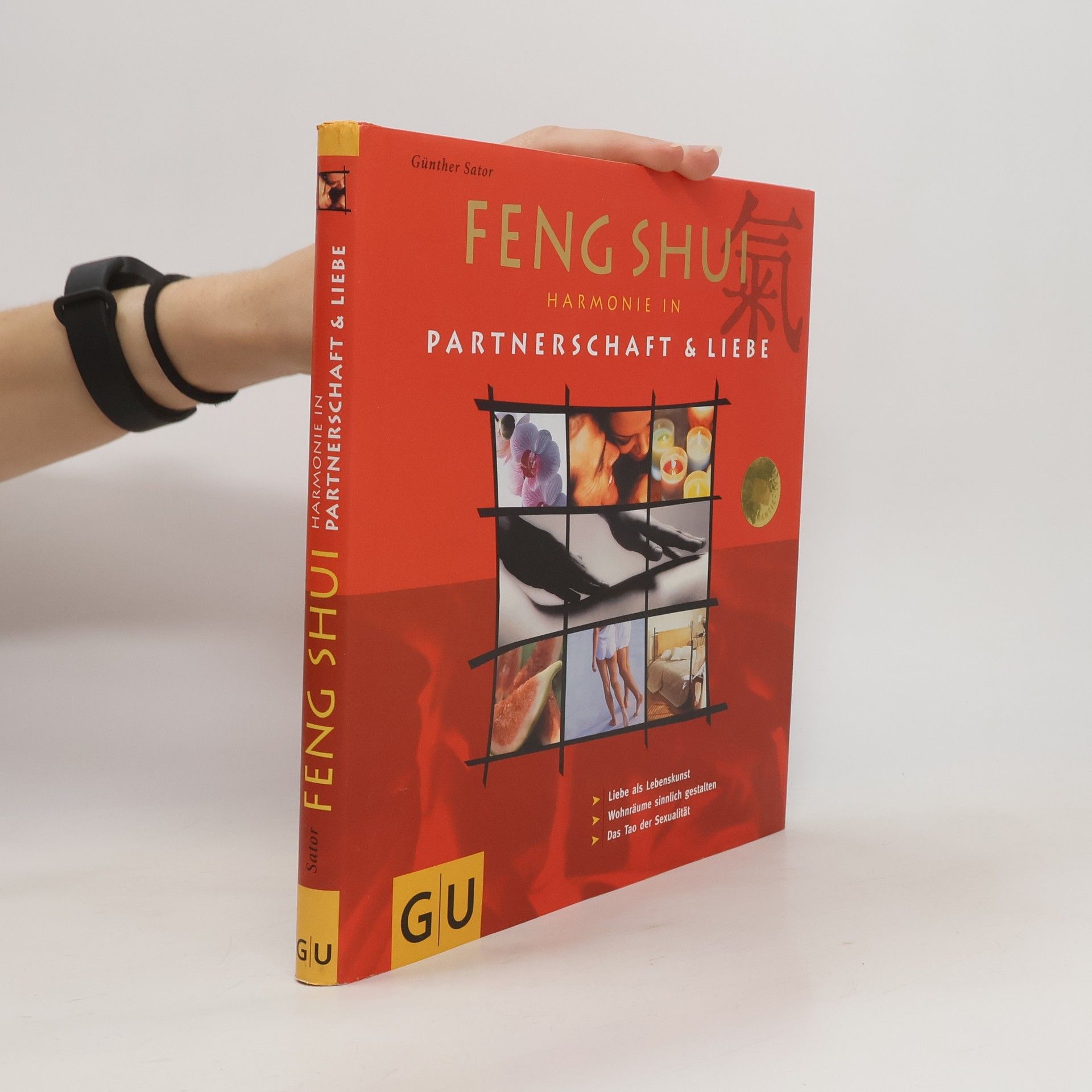 Günther Sator Feng shui: Harmonien in partnerschaft & liebe
