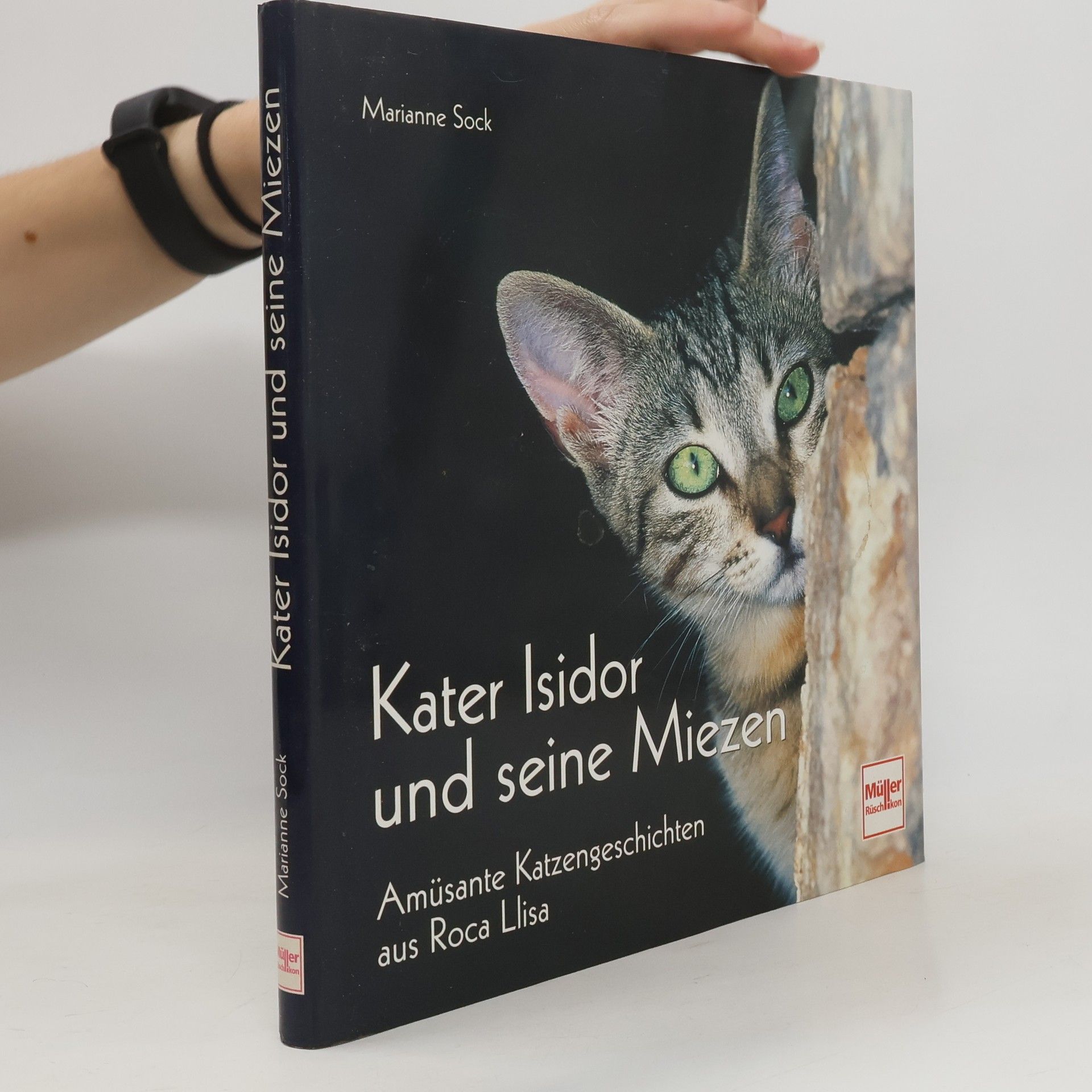 Marianne Sock Kater Isidor und seine Miezen