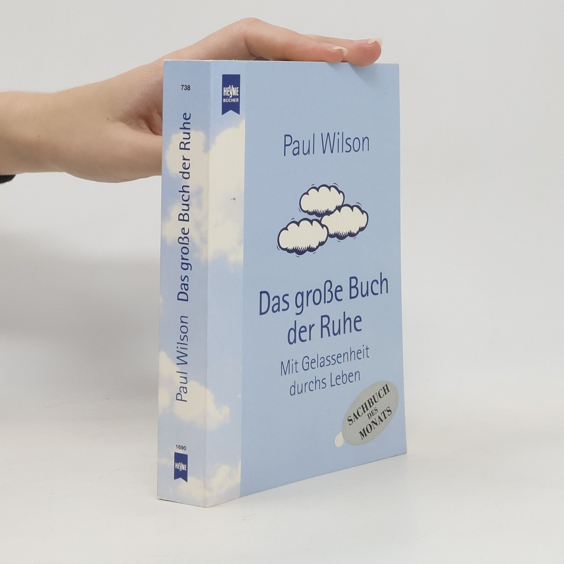Paul Wilson Das große Buch der Ruhe