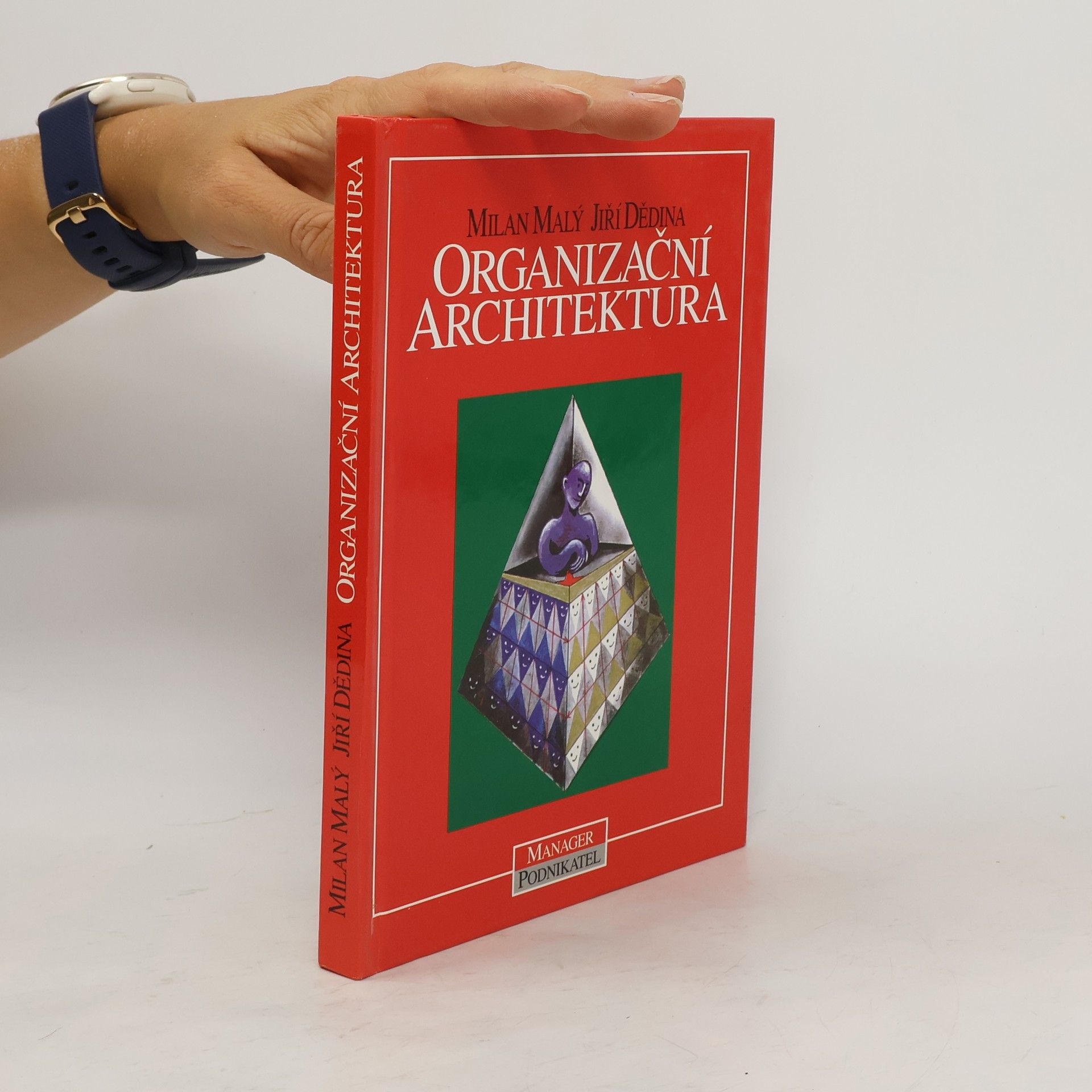 Milan Malý Organizační architektura