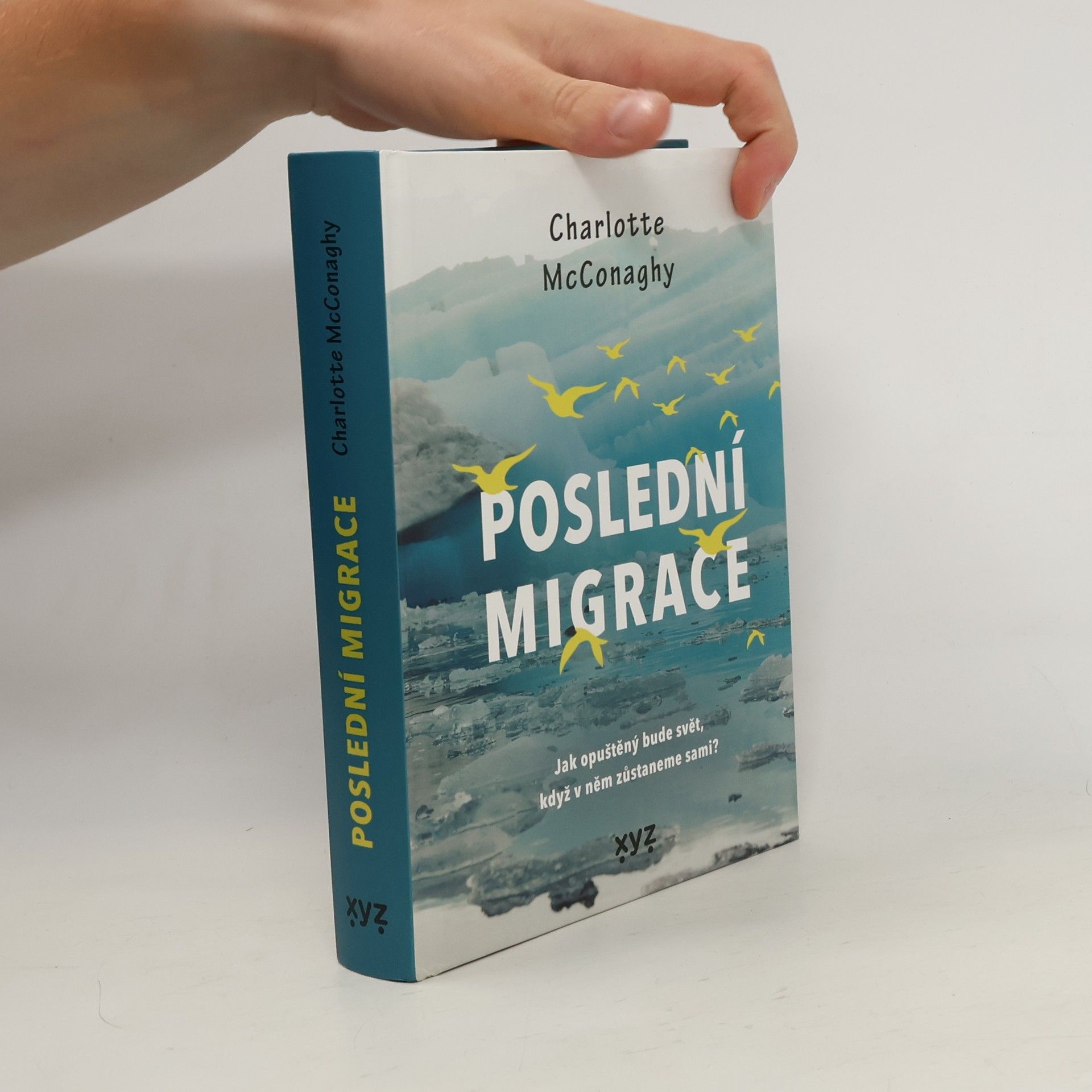 CHARLOTTE. MCCONAGHY Poslední migrace