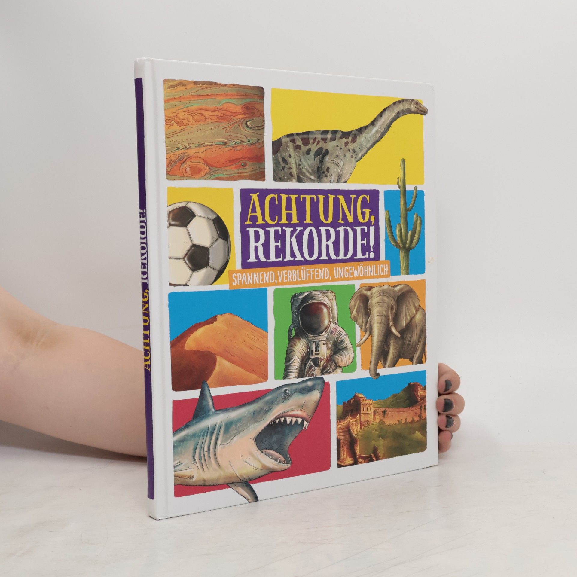 Autorenkollektiv Achtung, rekorde!