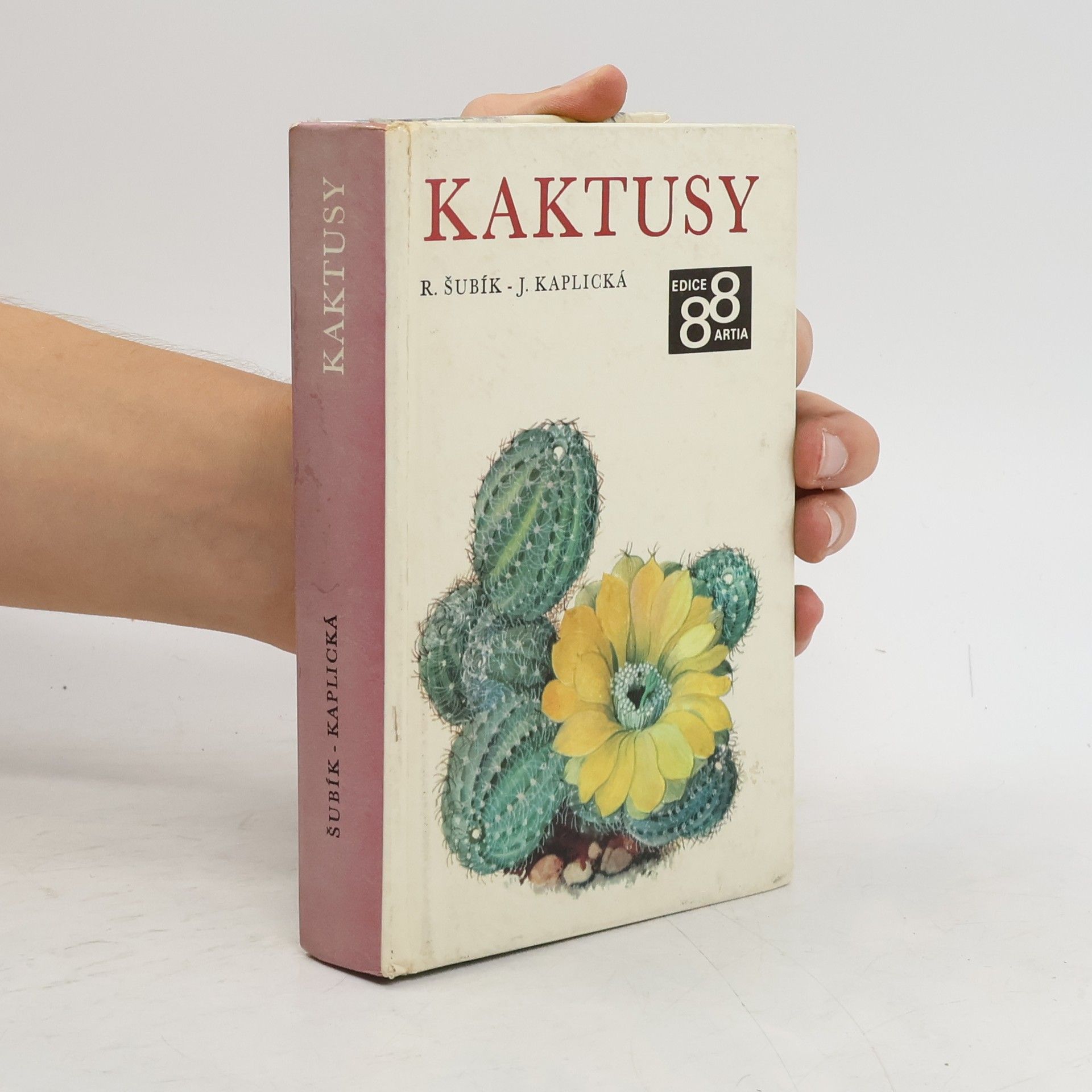 Rudolf Šubík Kaktusy
