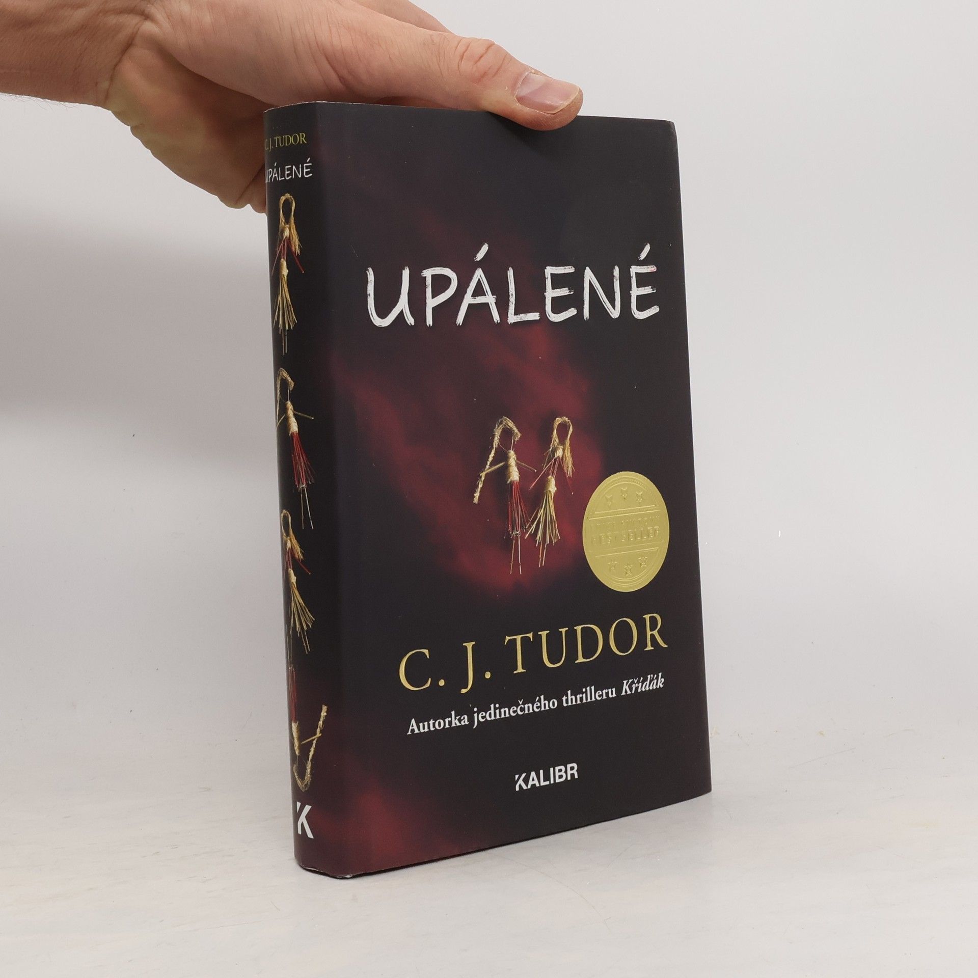 C. J. Tudor Upálené