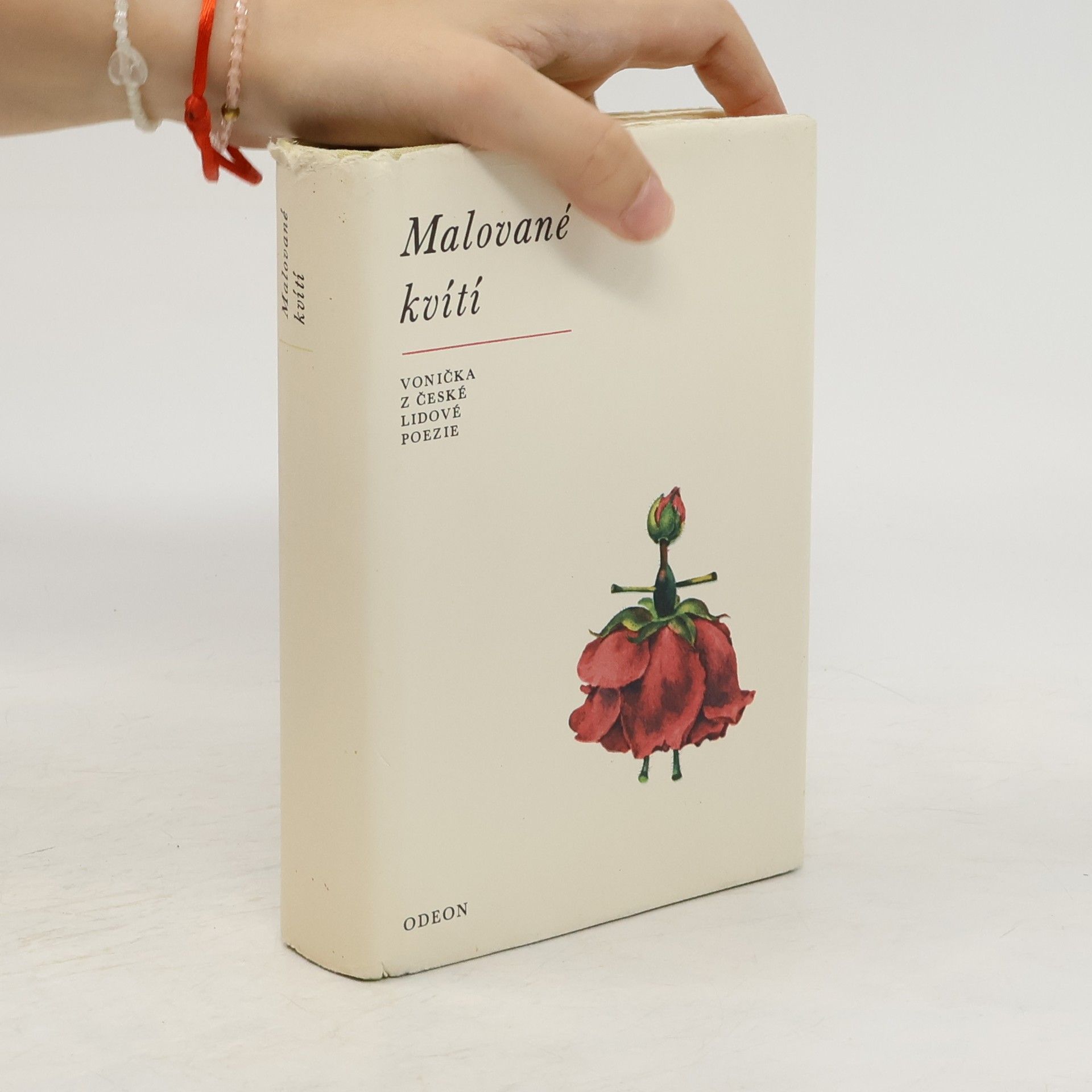 Rudolf Lužík Malované kvítí