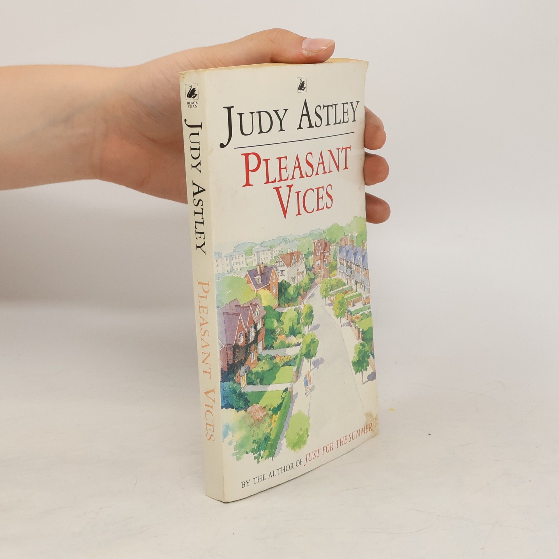 Judy Astley Pleasant Vices
