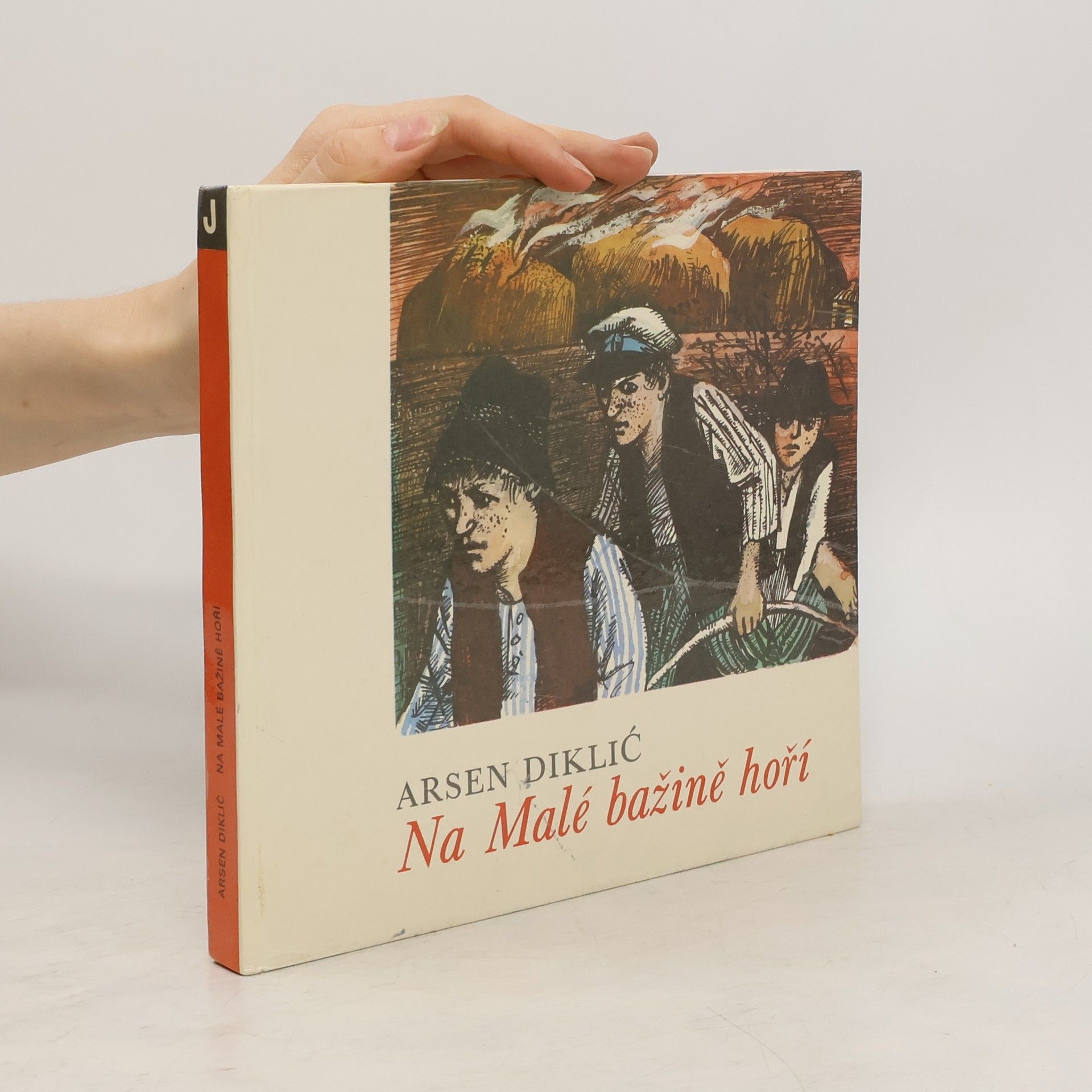 Arsen Diklić Na Malé bažině hoří