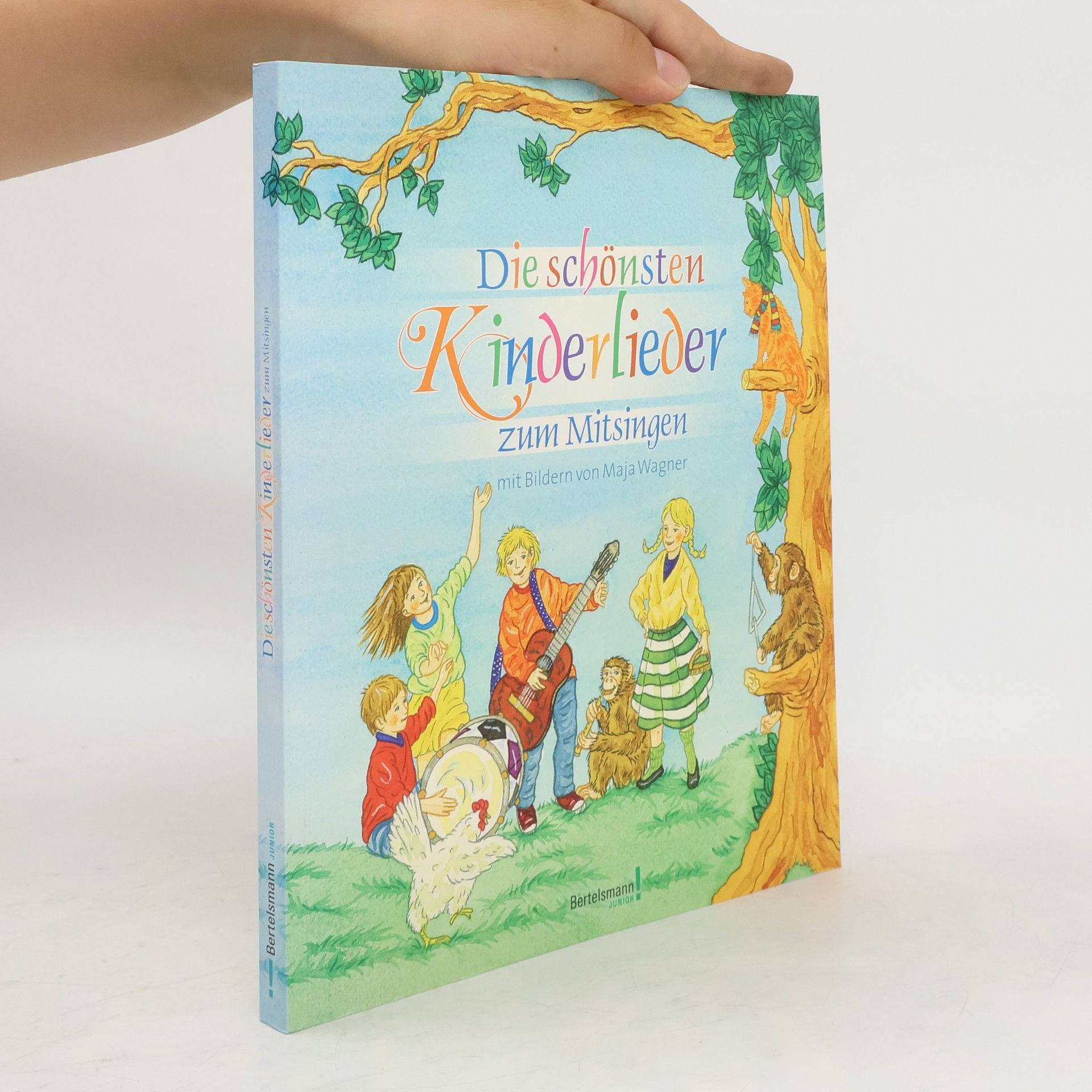 Autorenkollektiv Die schönsten Kinderlieder zum Mitsingen