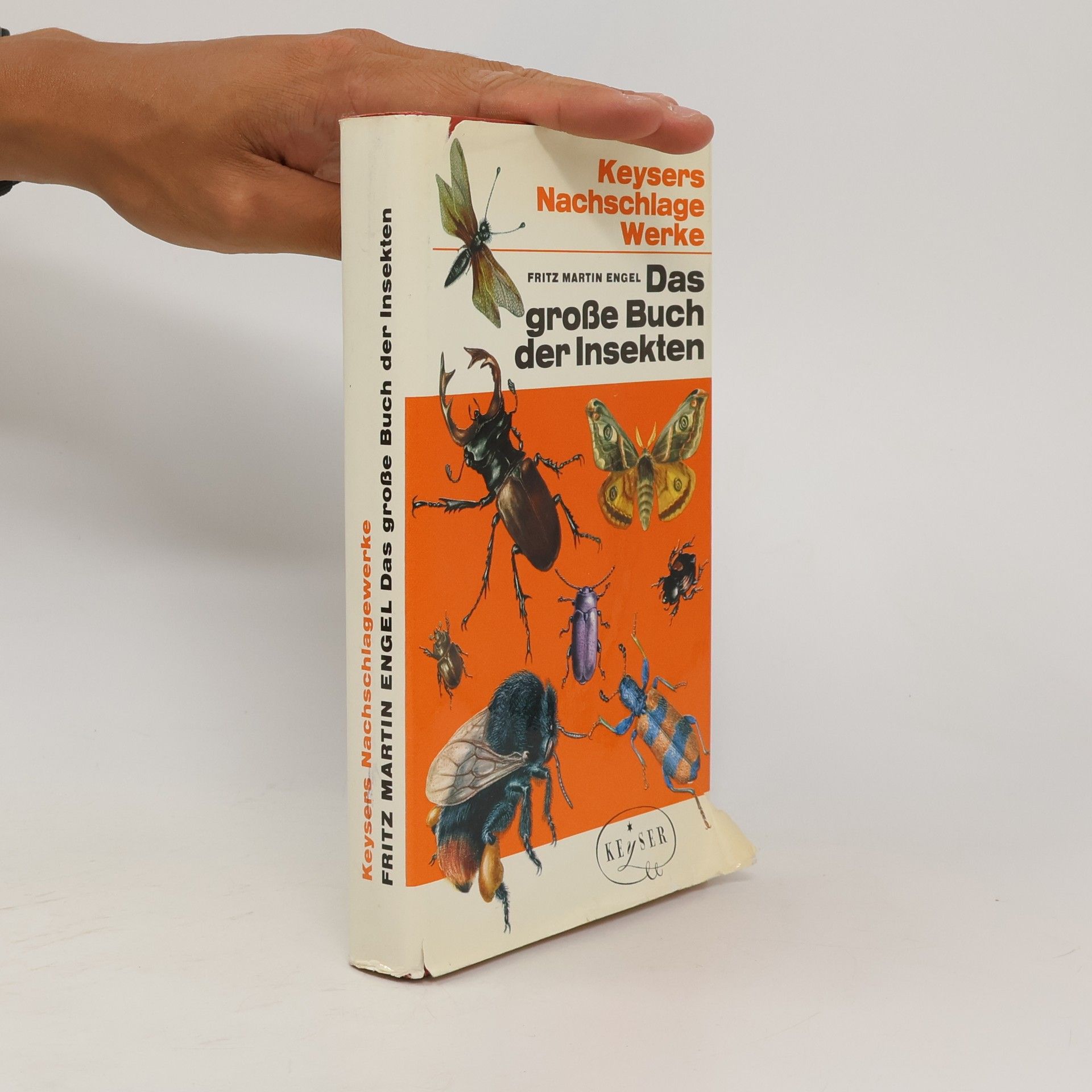 Fritz-Martin Engel Das große Buch der Insekten