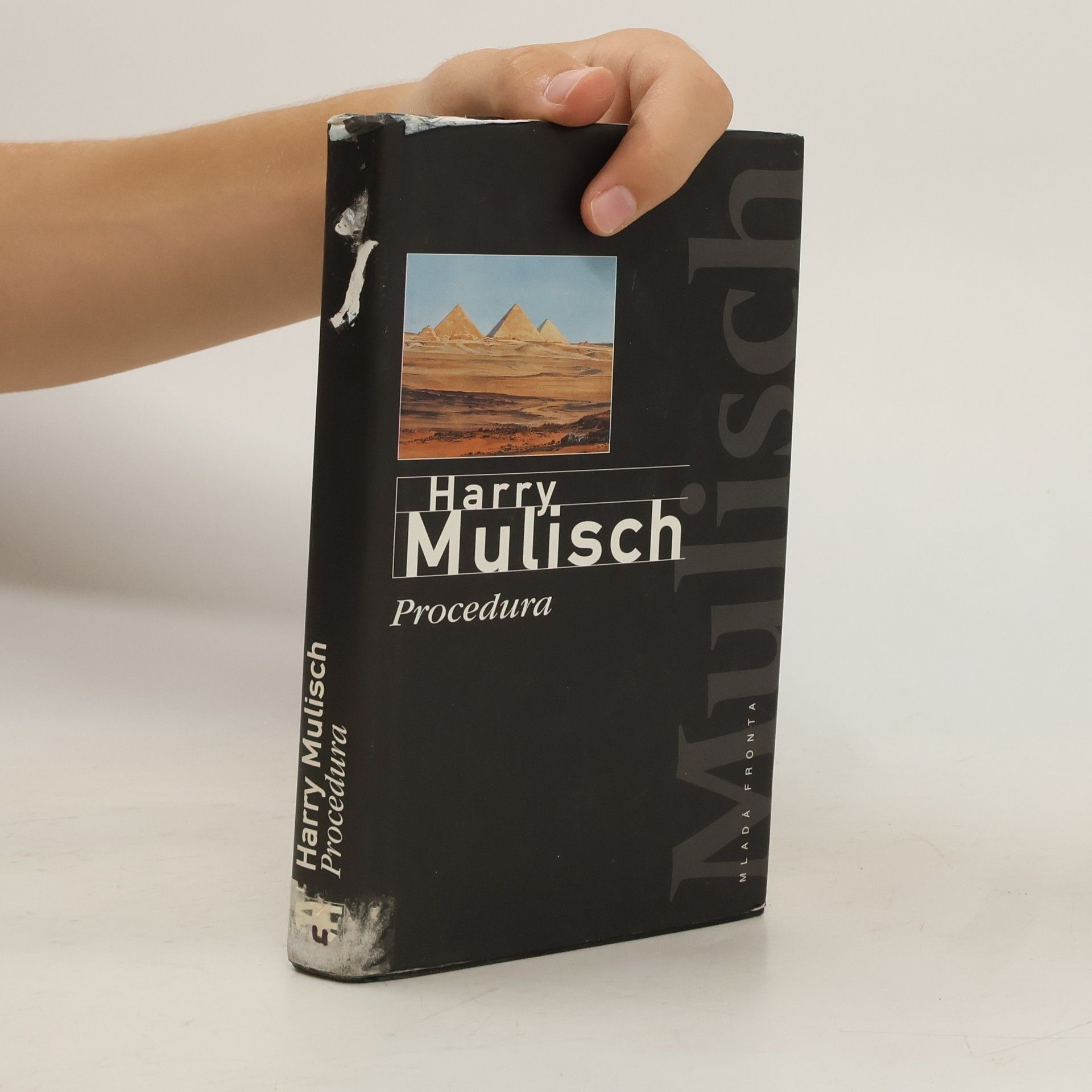 Harry Mulisch Procedura