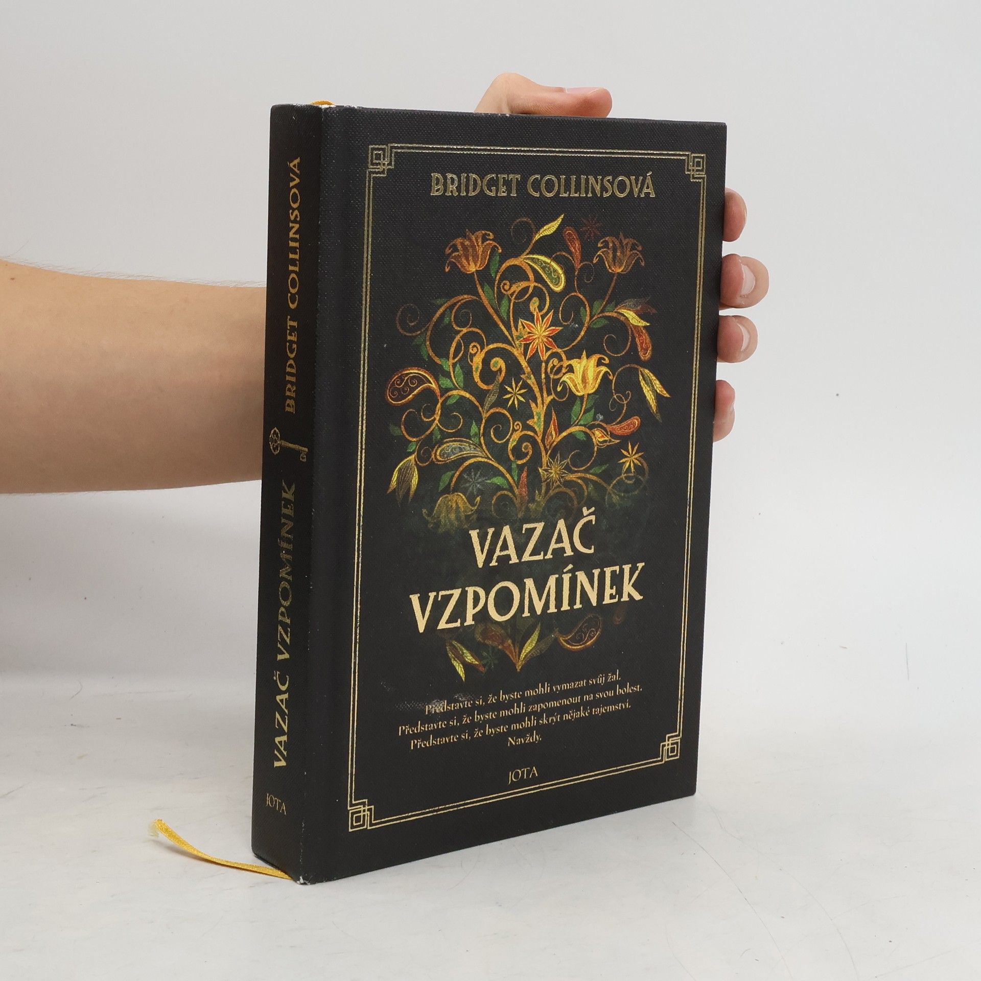 Bridget Collins Vazač vzpomínek