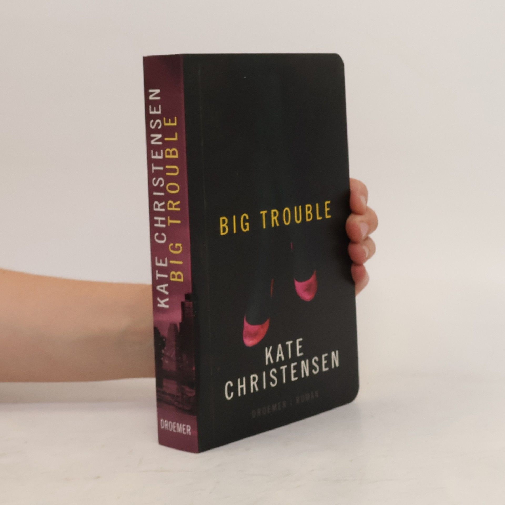 Kate Christensen Big Trouble