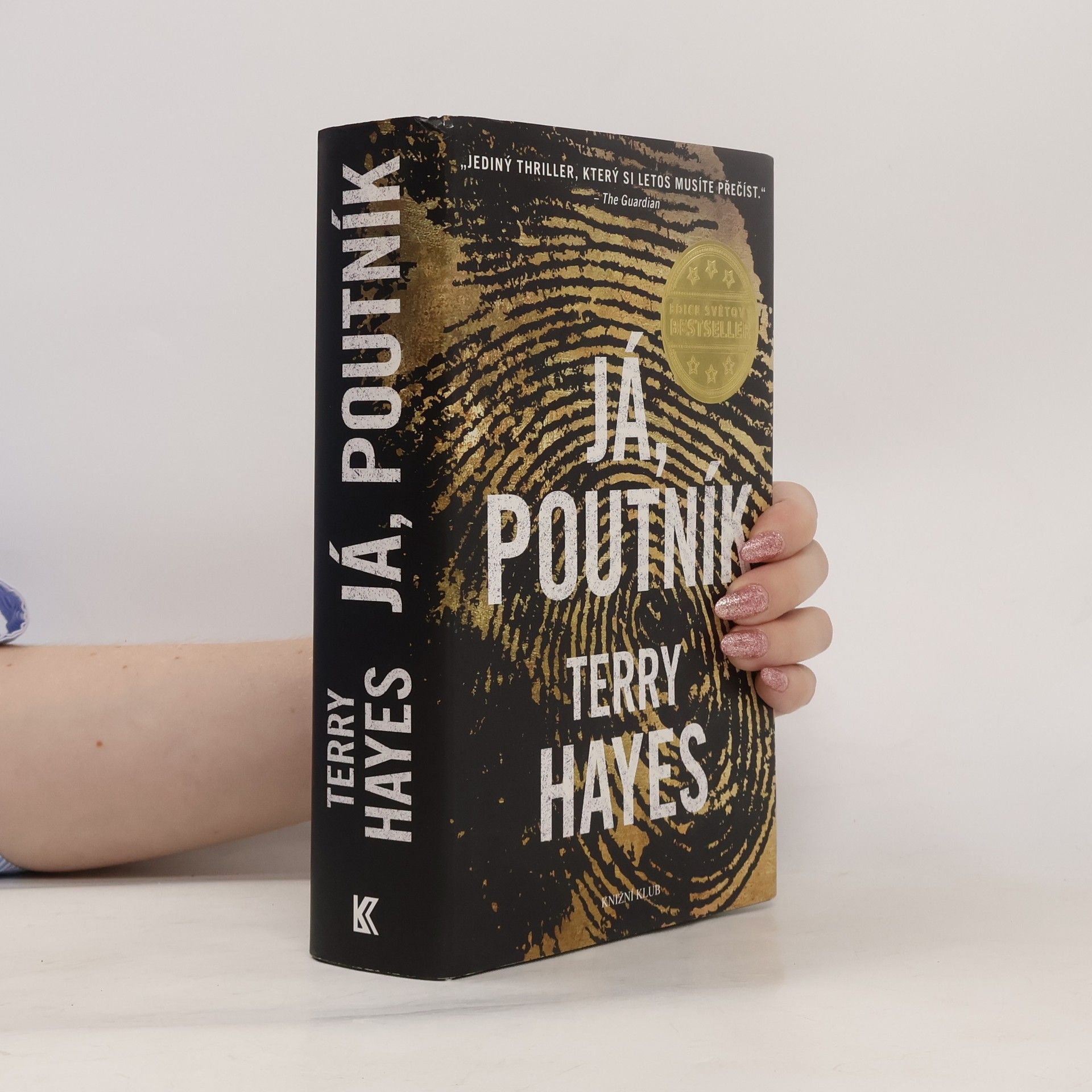 Terry Hayes Já, Poutník