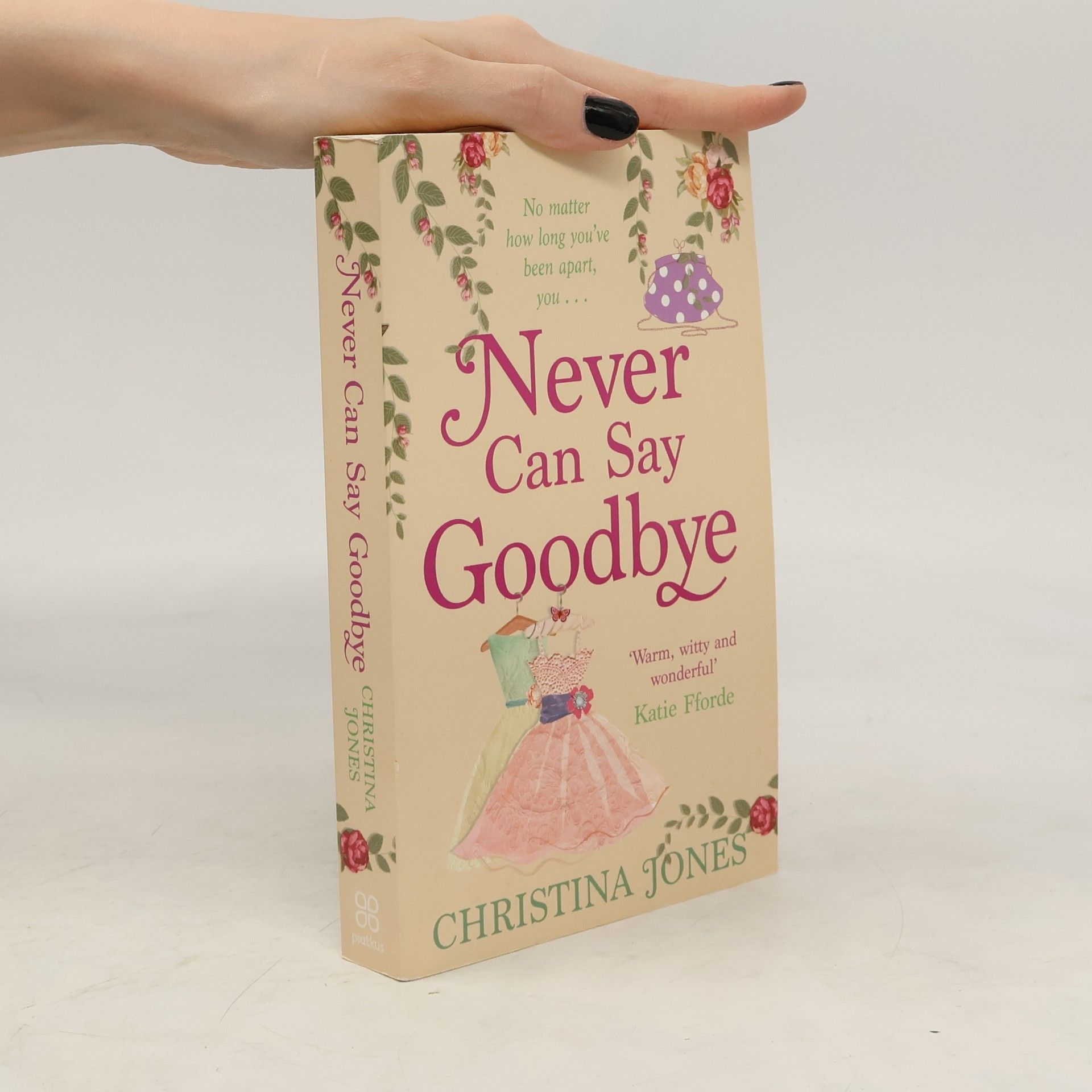 Christina Jones Never Can Say Goodbye