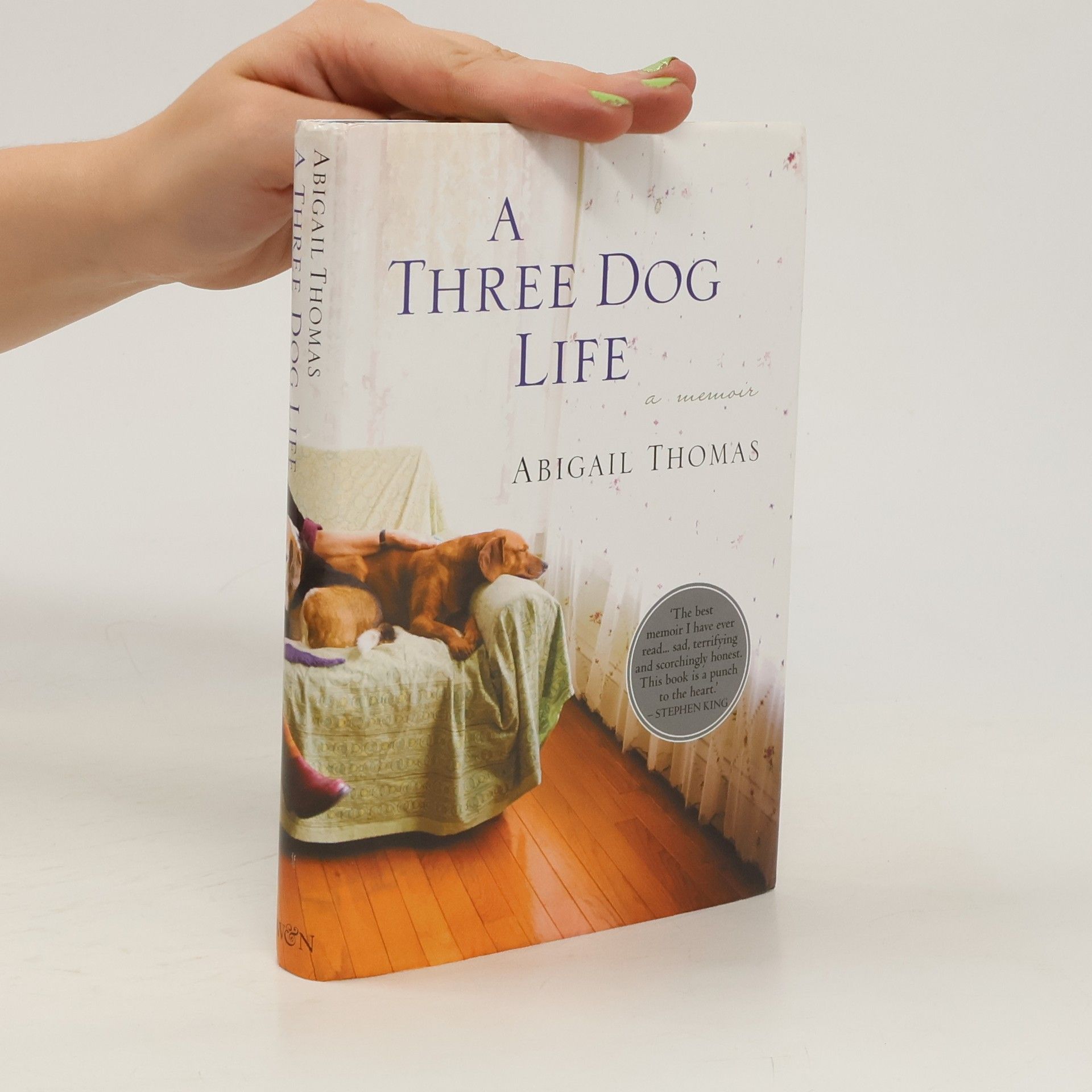 Abigail Thomas A Three Dog Life
