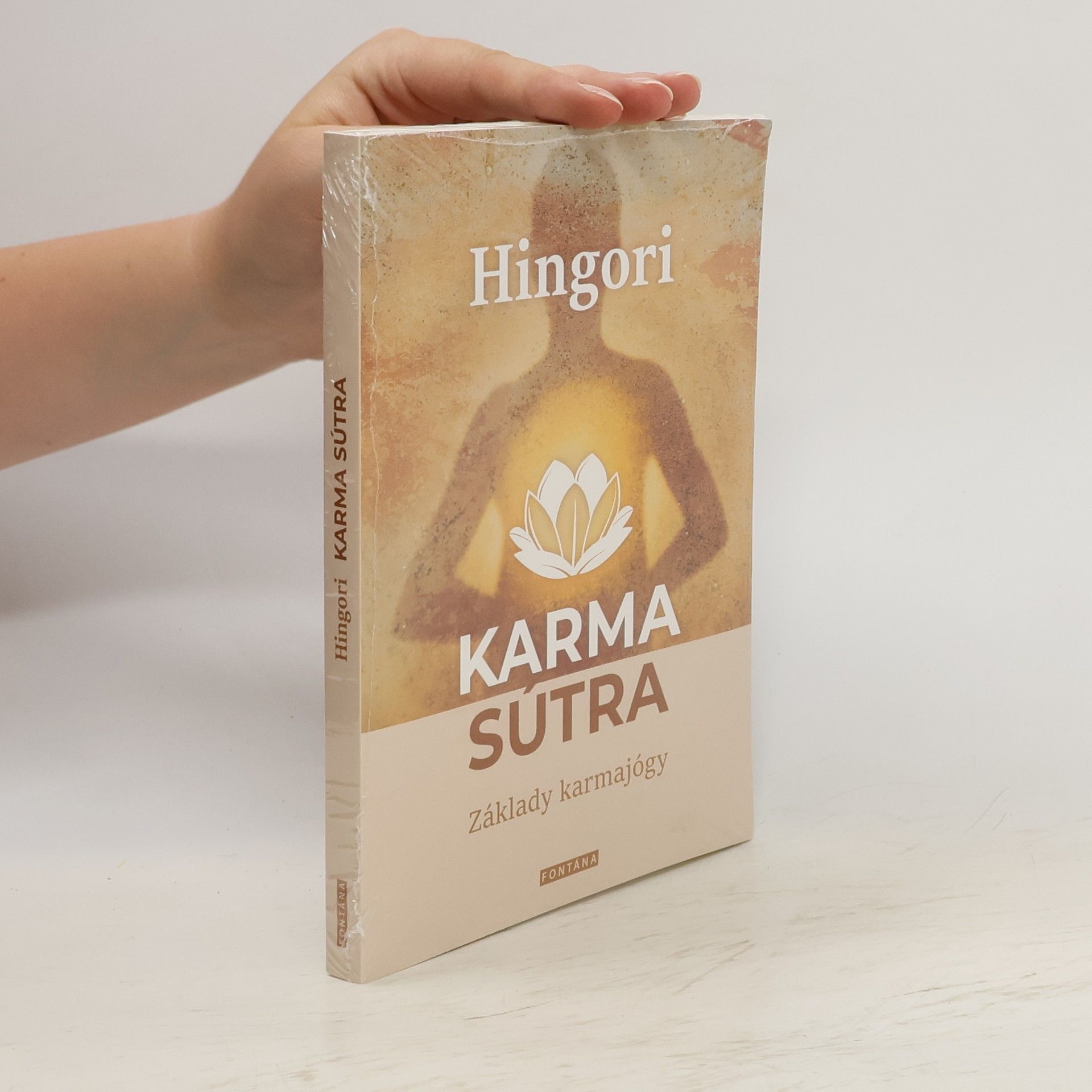 Kolektiv autorů Karma sútra - Základy karmajógy