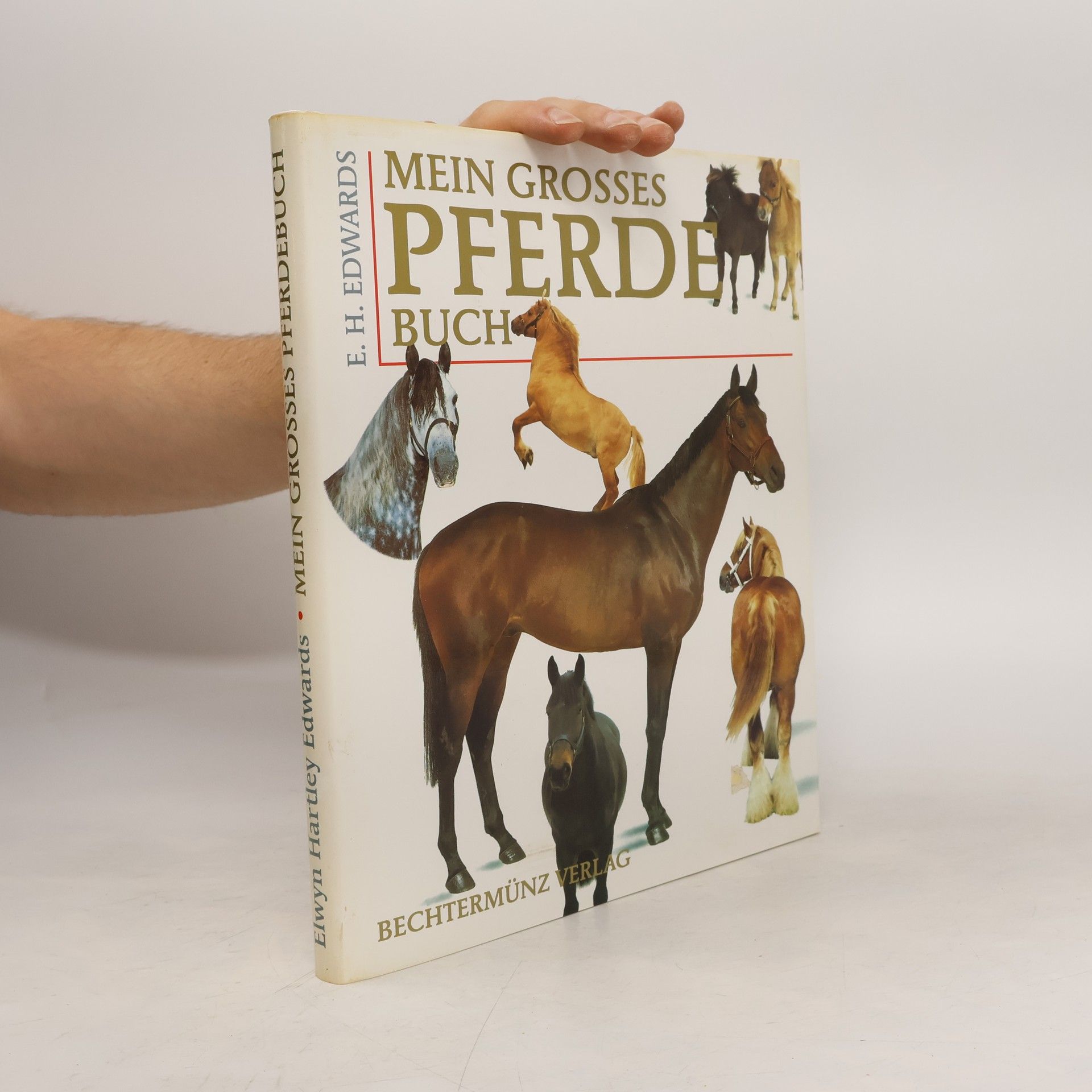 E. H. Edwards Mein grosses Pferdebuch