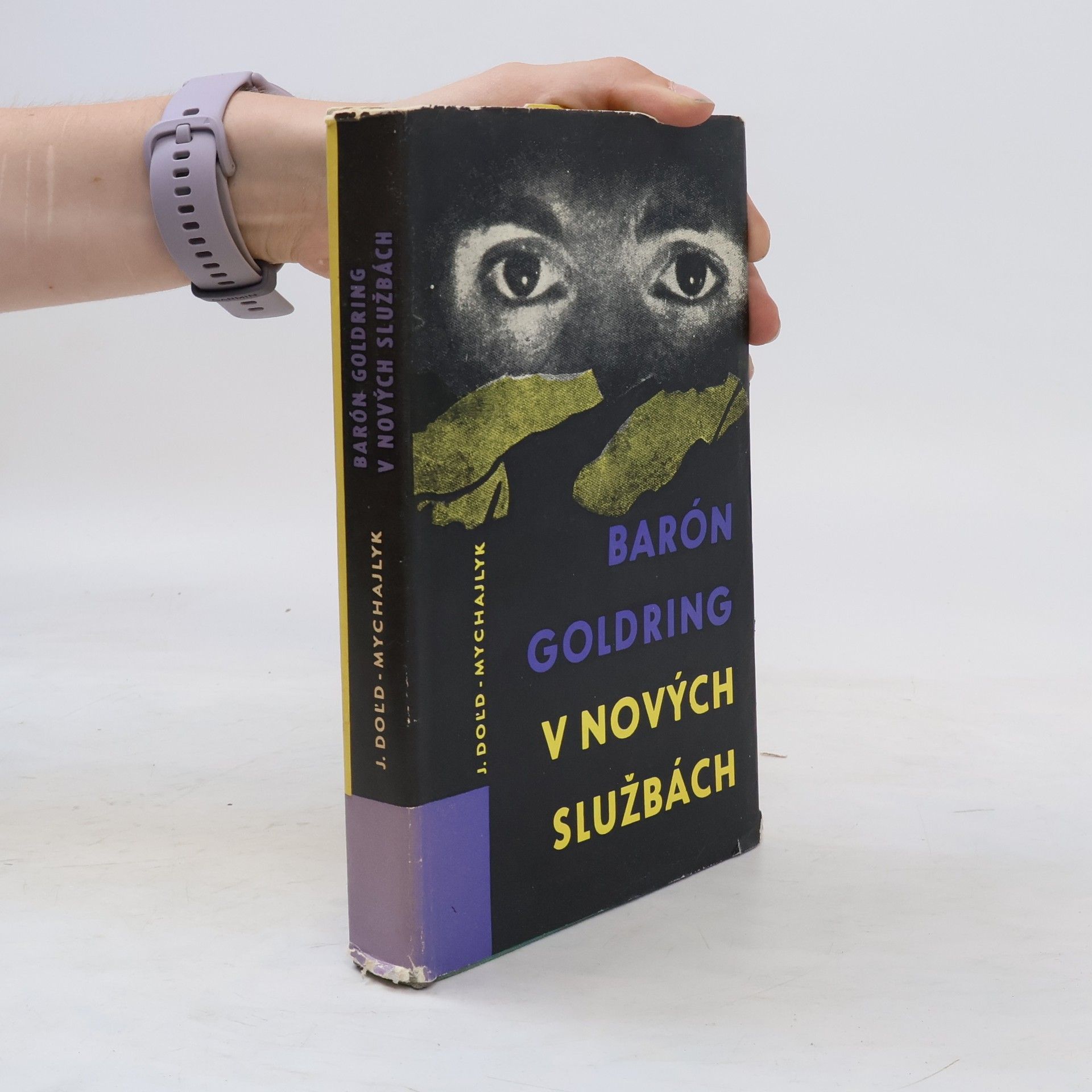 Teodor Fiš Barón Goldring v nových službách