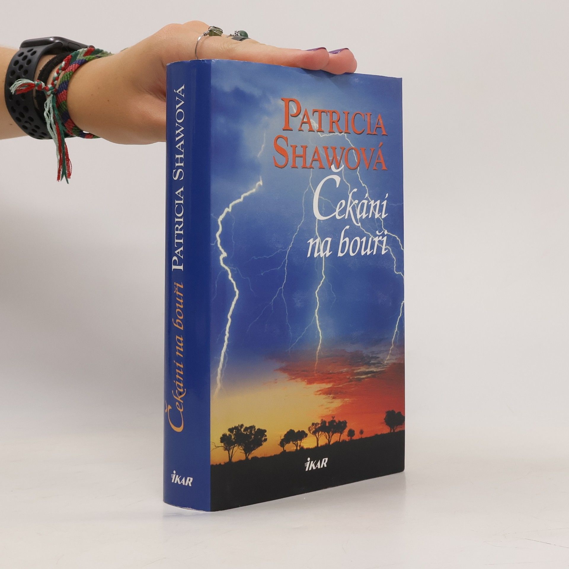 Patricia Shaw Čekání na bouři