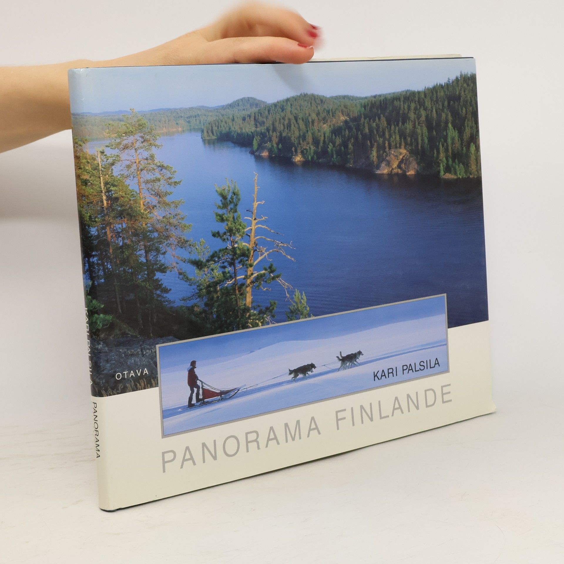 Kari Palsila Panorama Finlande