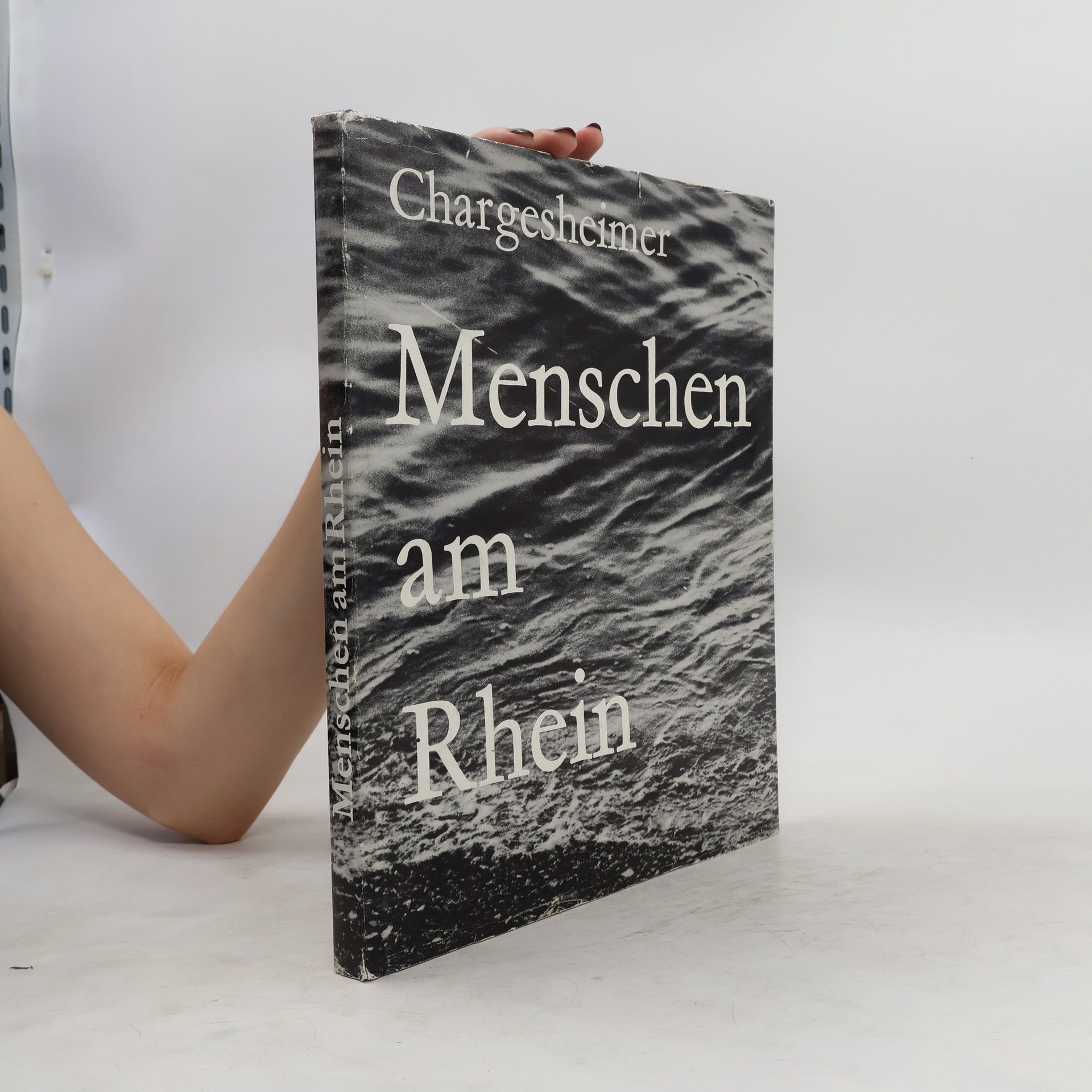 Chargeshimer Menschen Am Rhein