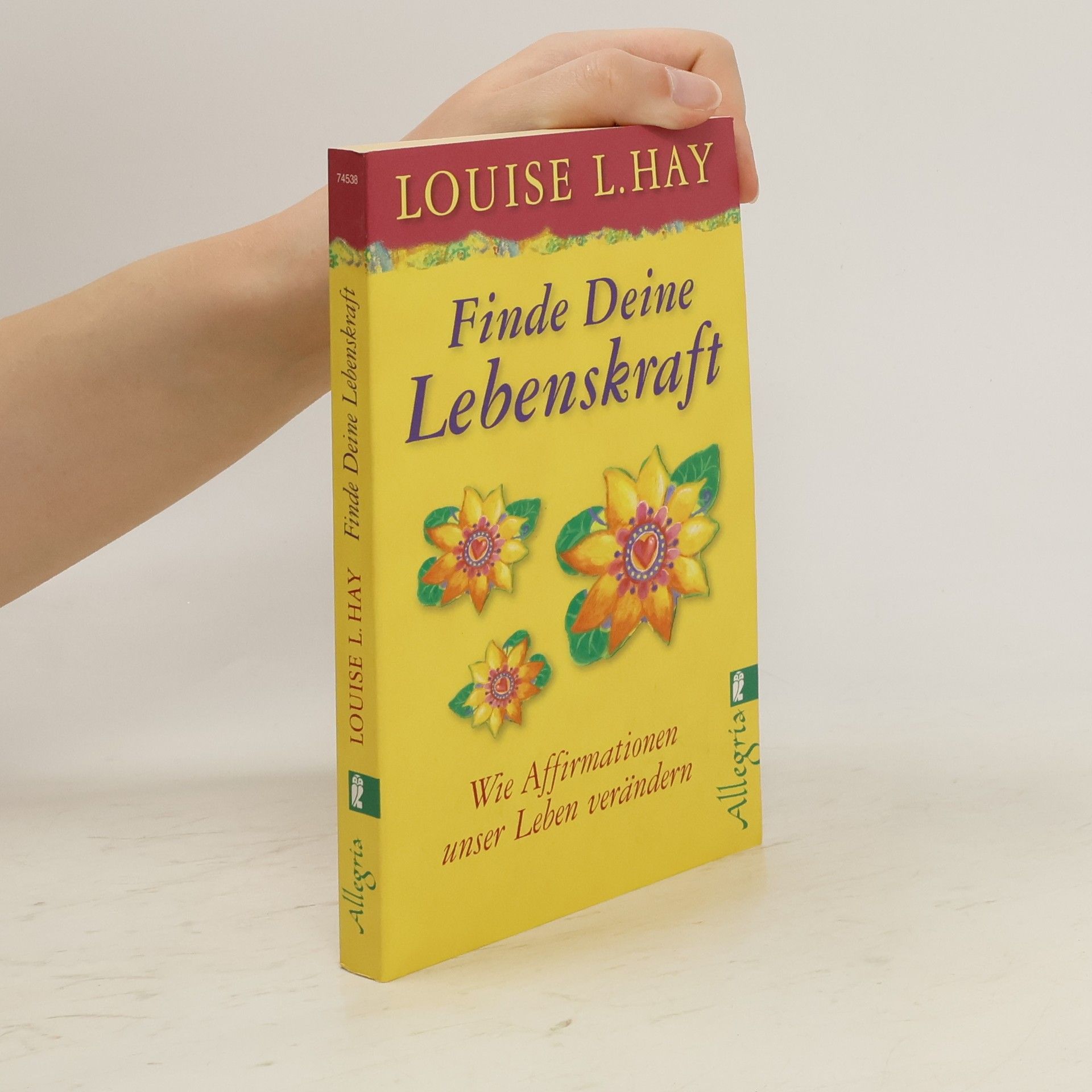 Lousie L. Hay Finde Deine Lebenskraft