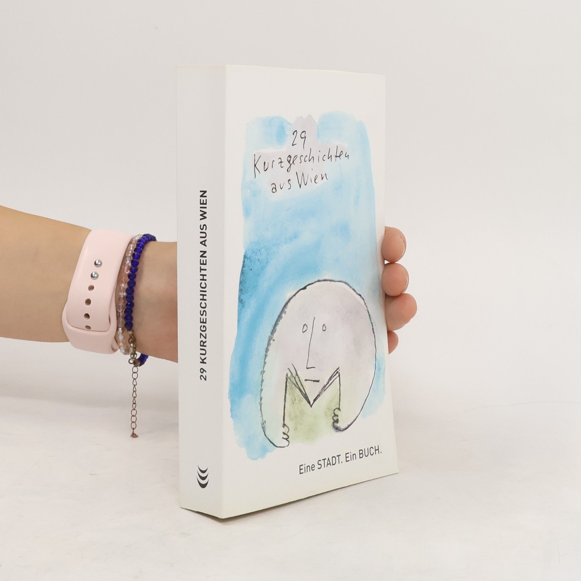 Hans-Helmut Schneider 29 Kurzgeschichten aus Wien