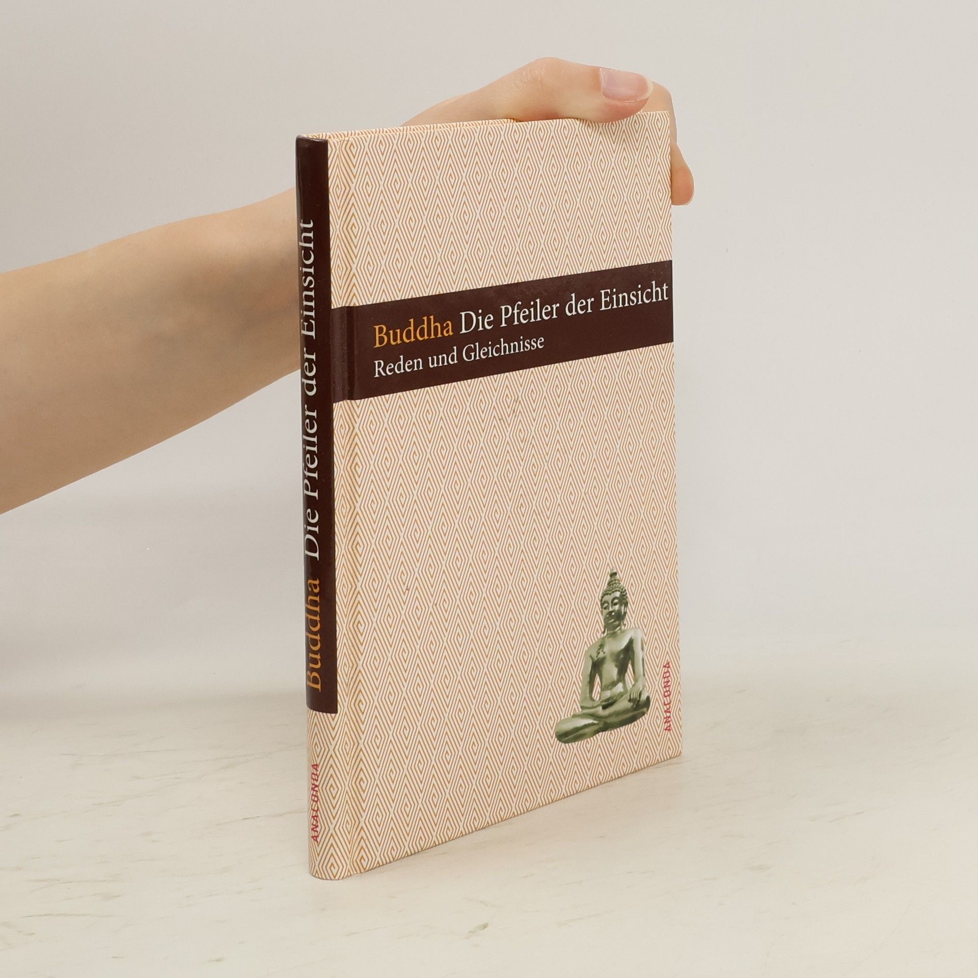 Gautama Buddha Die Pfeiler der Einsicht. Reden und Gleichnisse