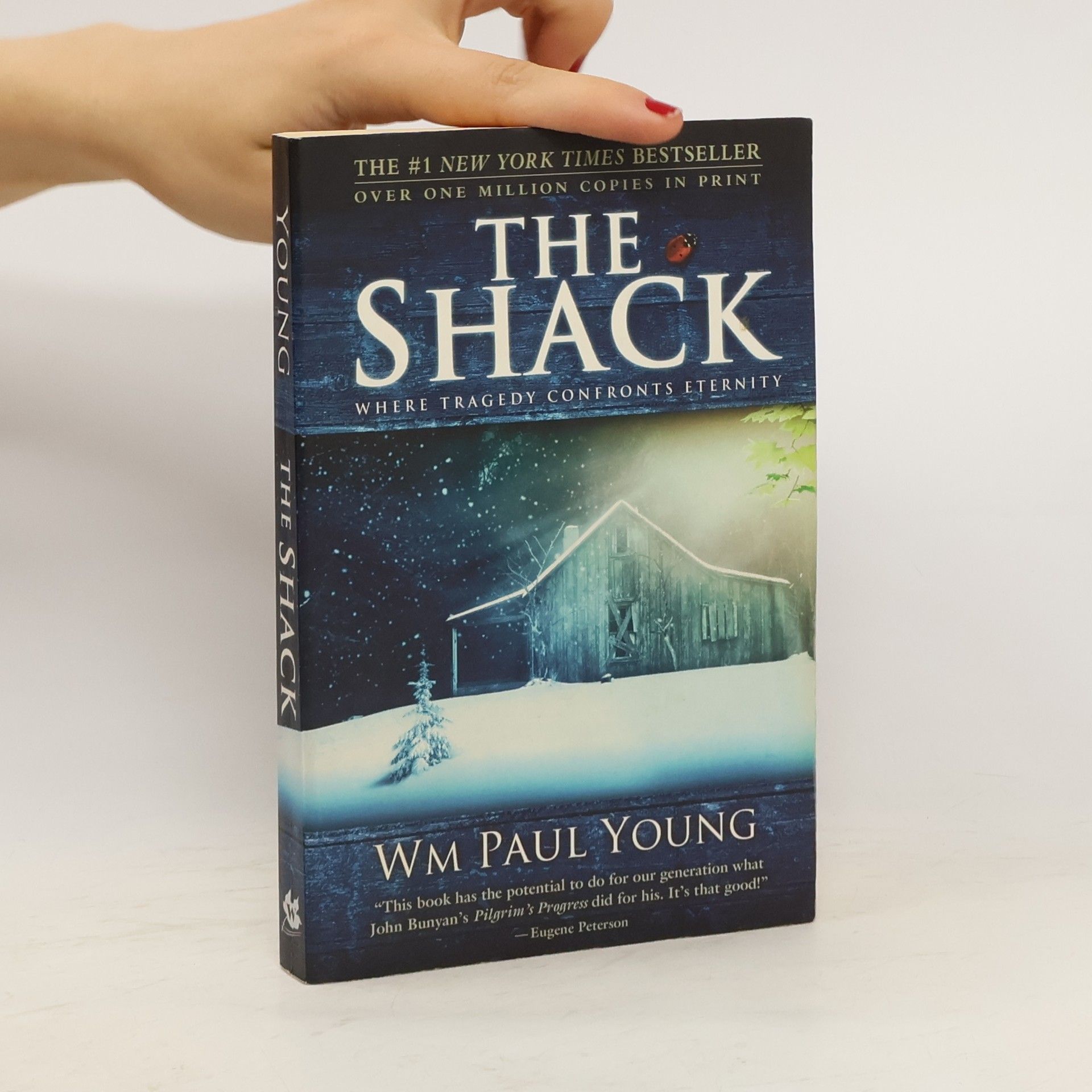 William P. Young The Shack