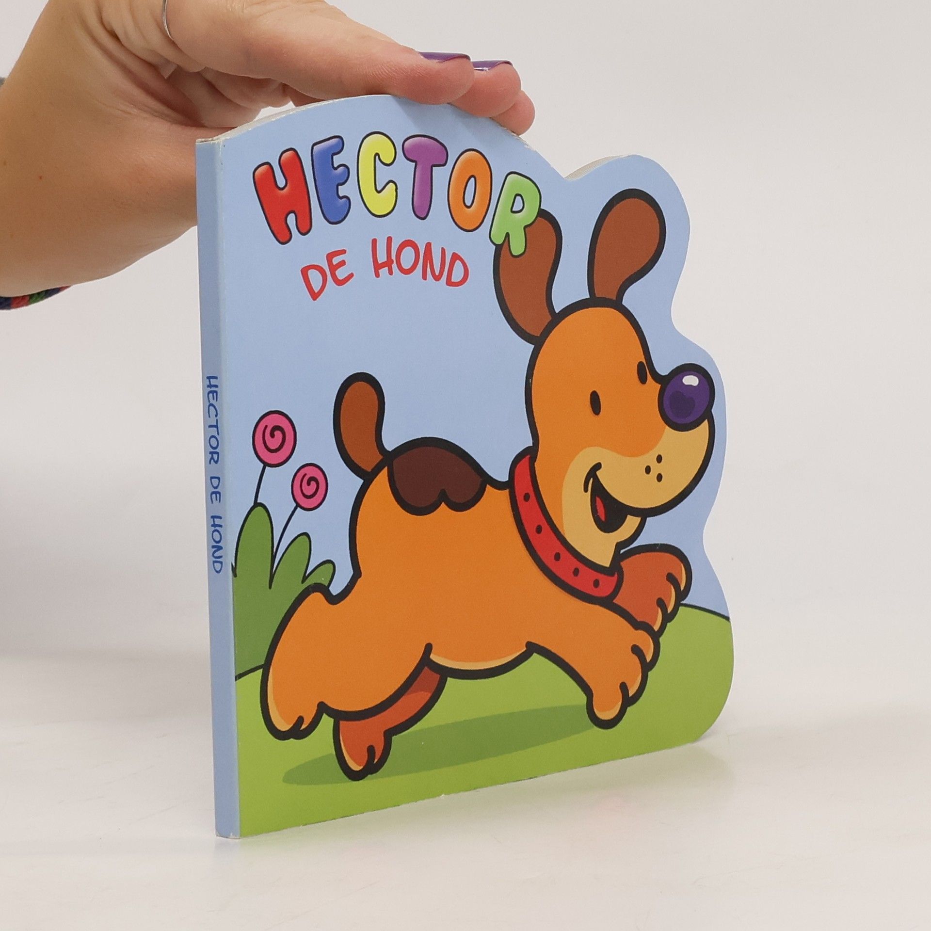 Autores varios Hector de hond